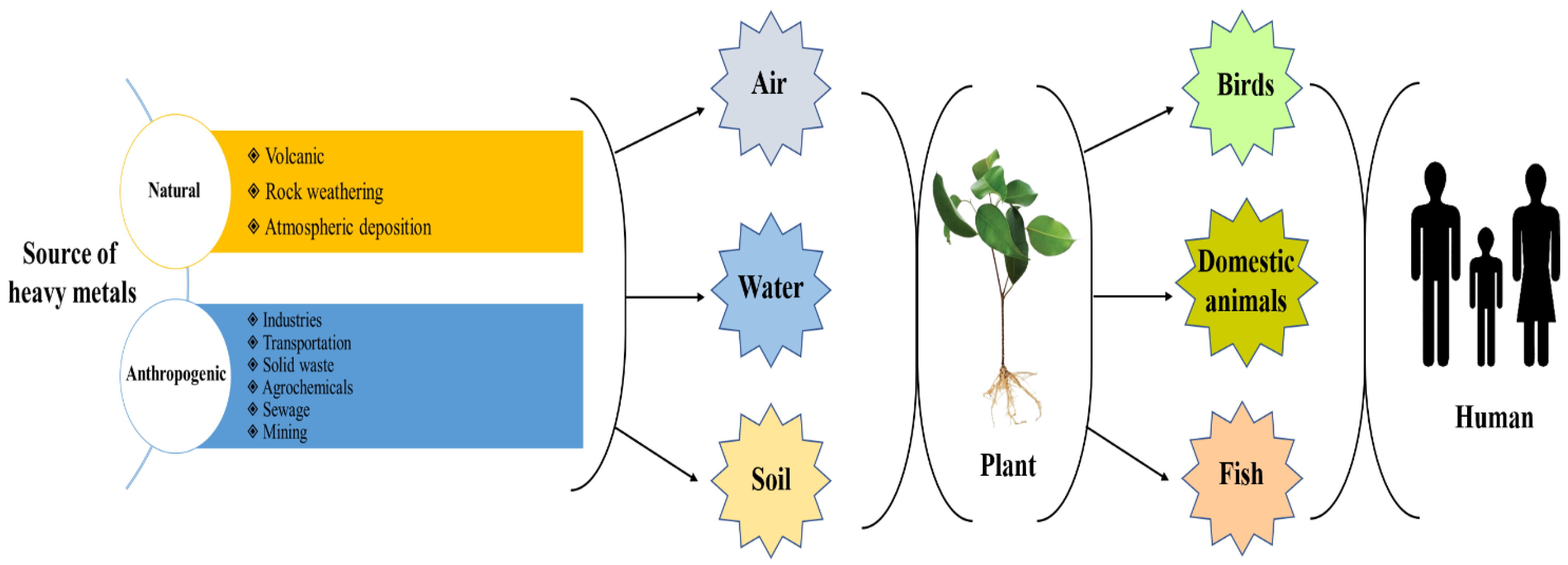 Toxics 11 00422 g002 Toxics 11 00422 g002
