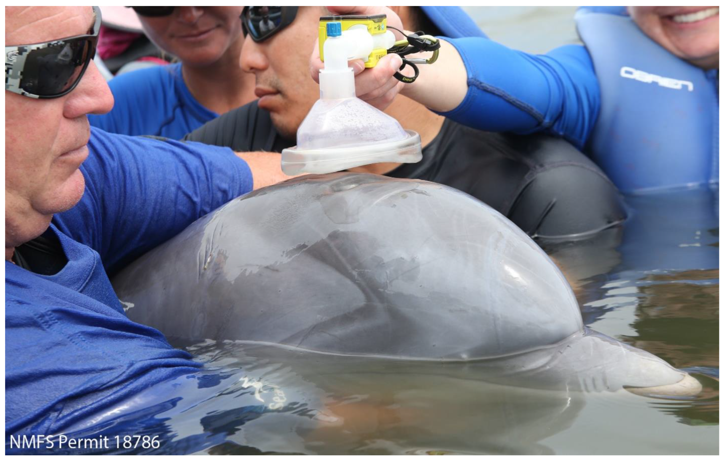 Toxics 11 00423 g001 Toxics 11 00423 g001