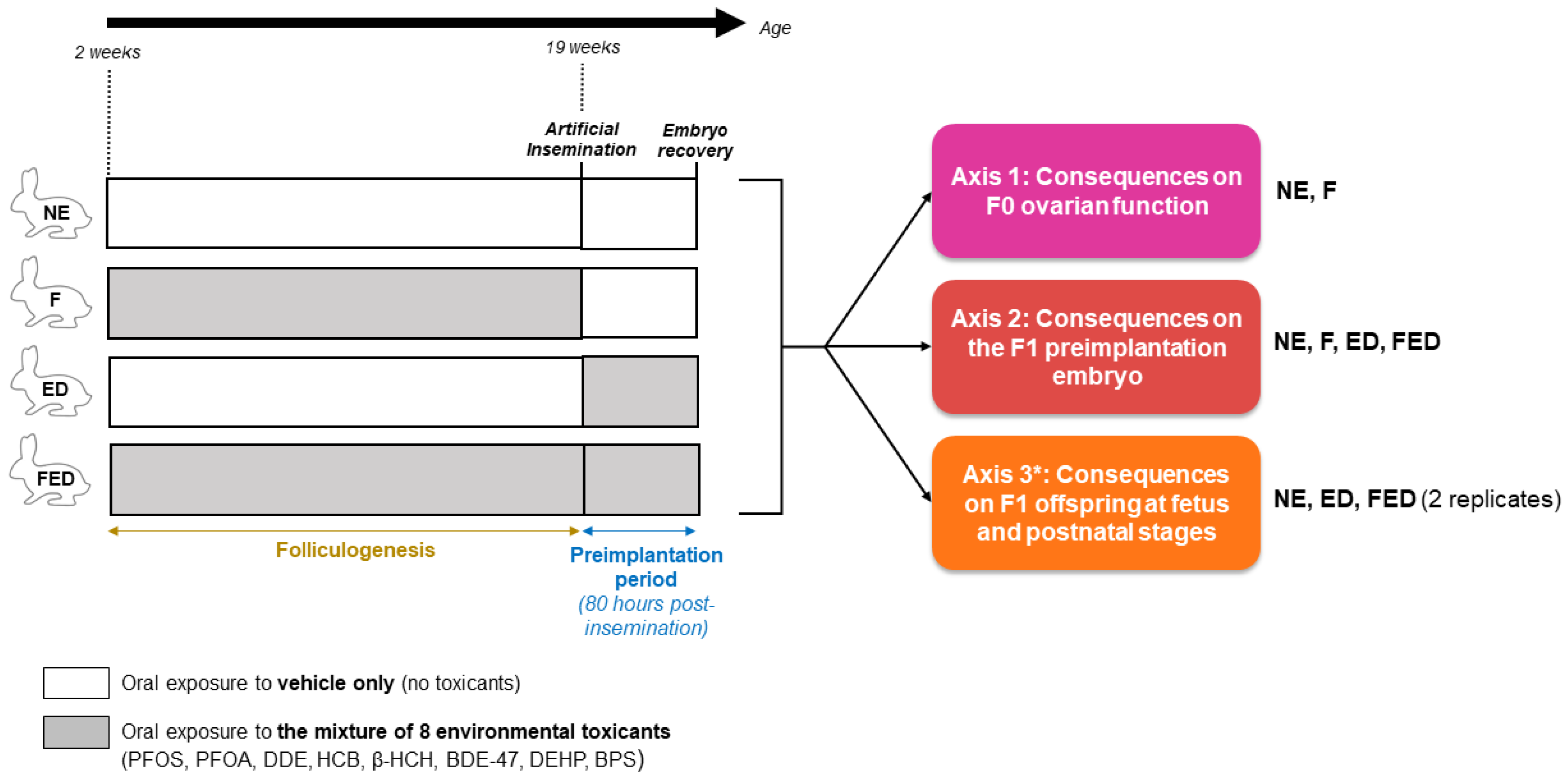 Toxics 11 00425 g001