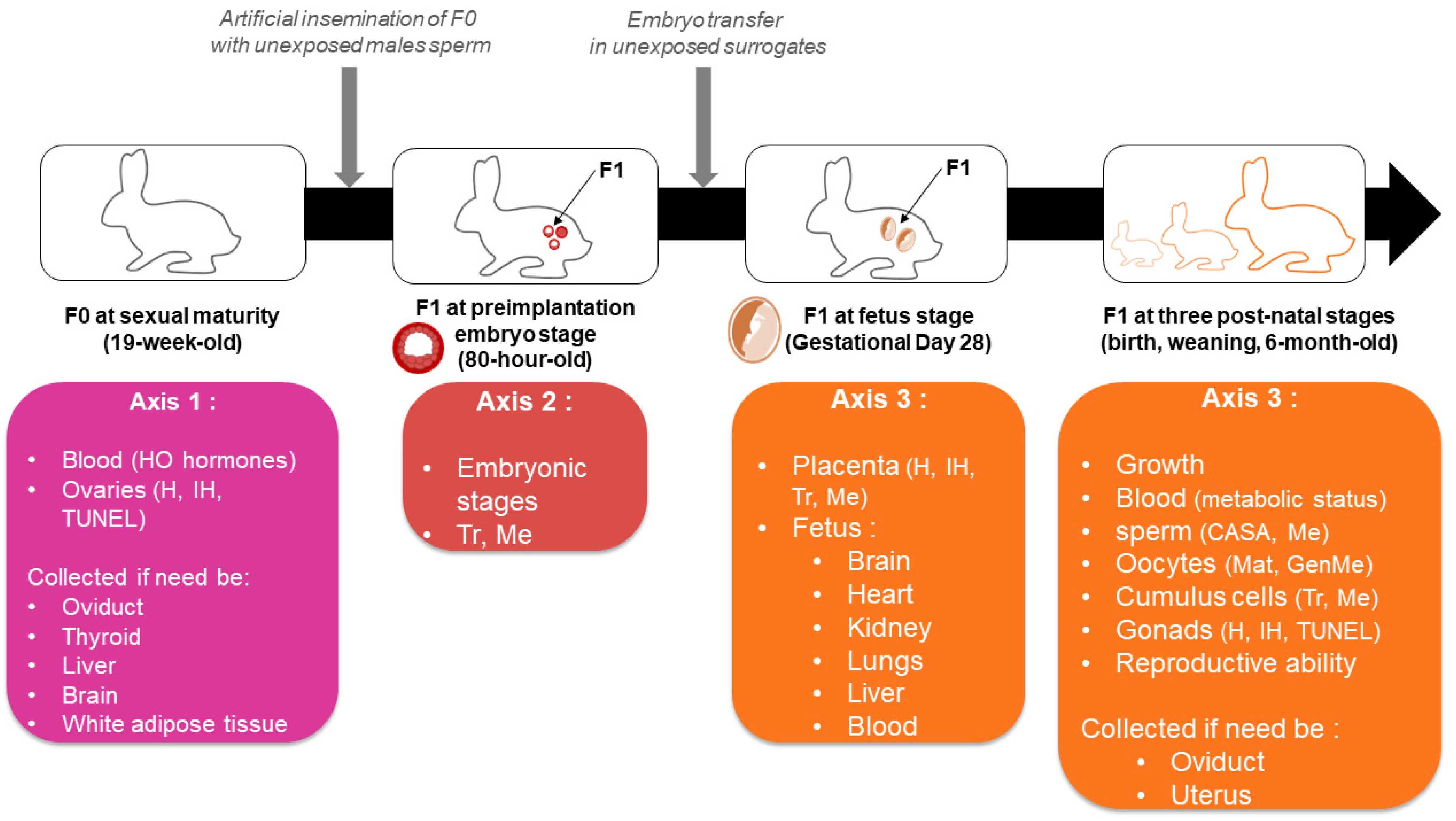 Toxics 11 00425 g002