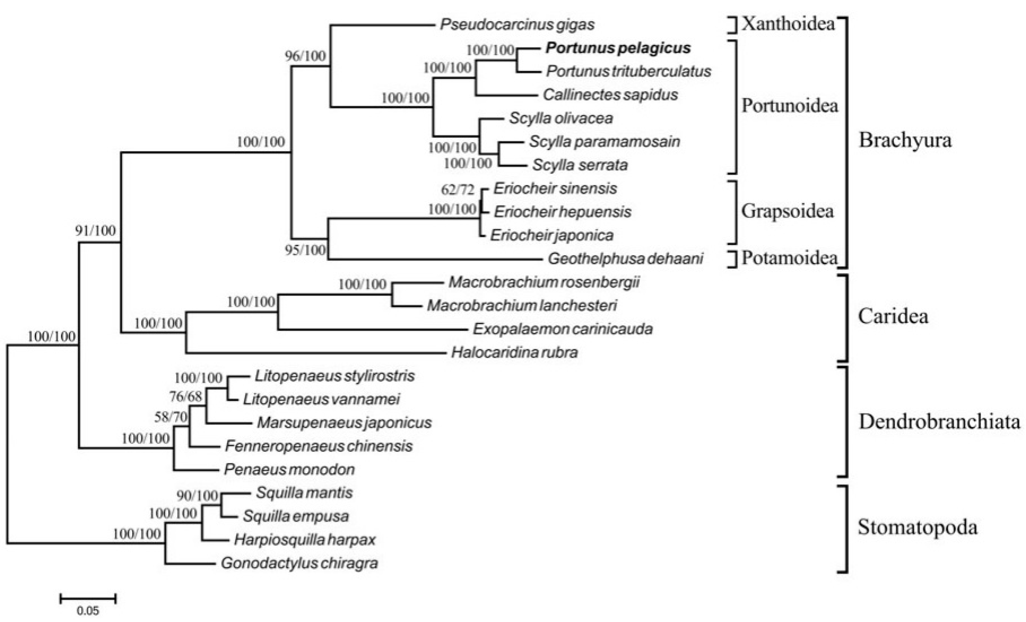 Toxics 11 00426 g002 Toxics 11 00426 g002