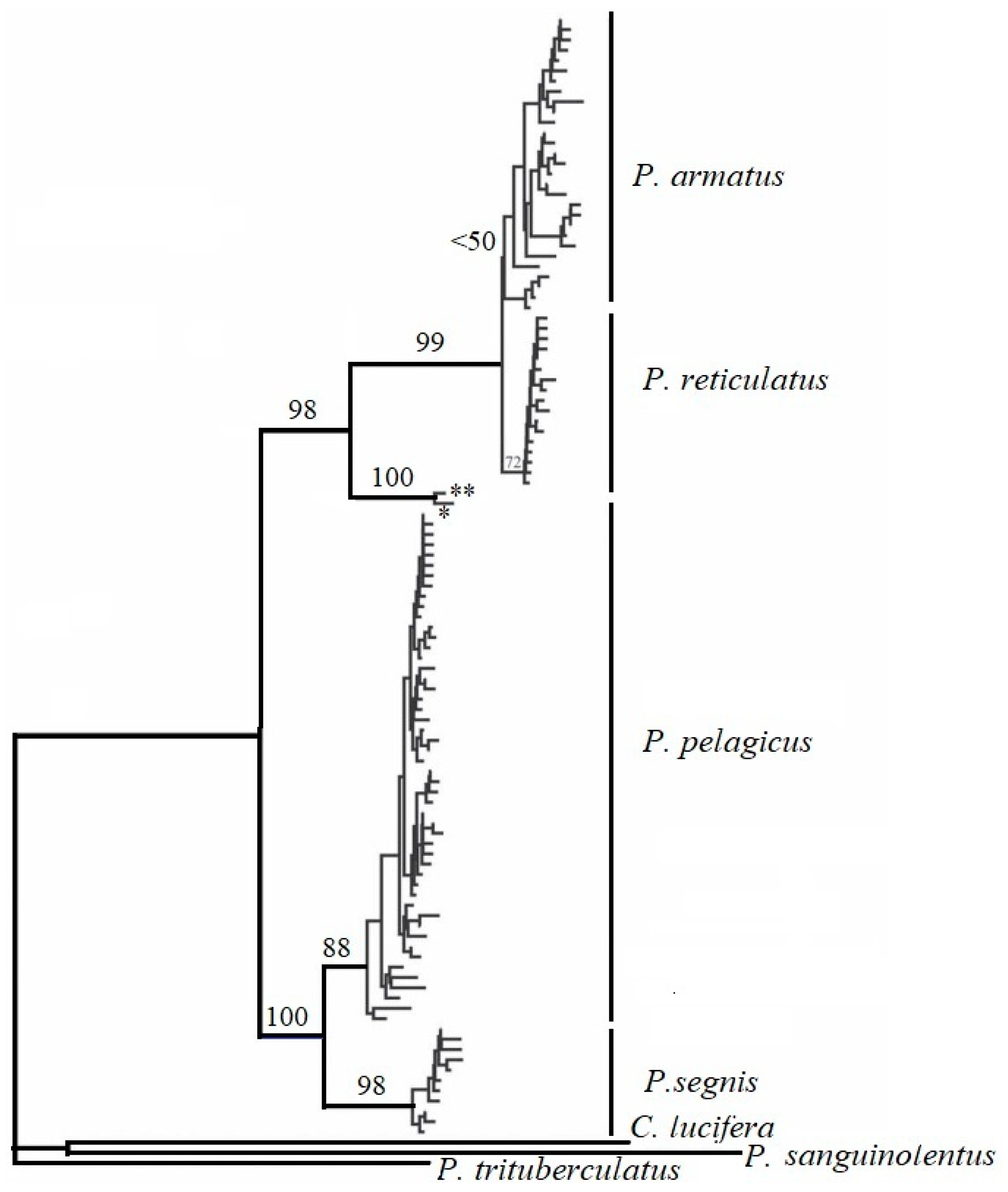 Toxics 11 00426 g004 Toxics 11 00426 g004