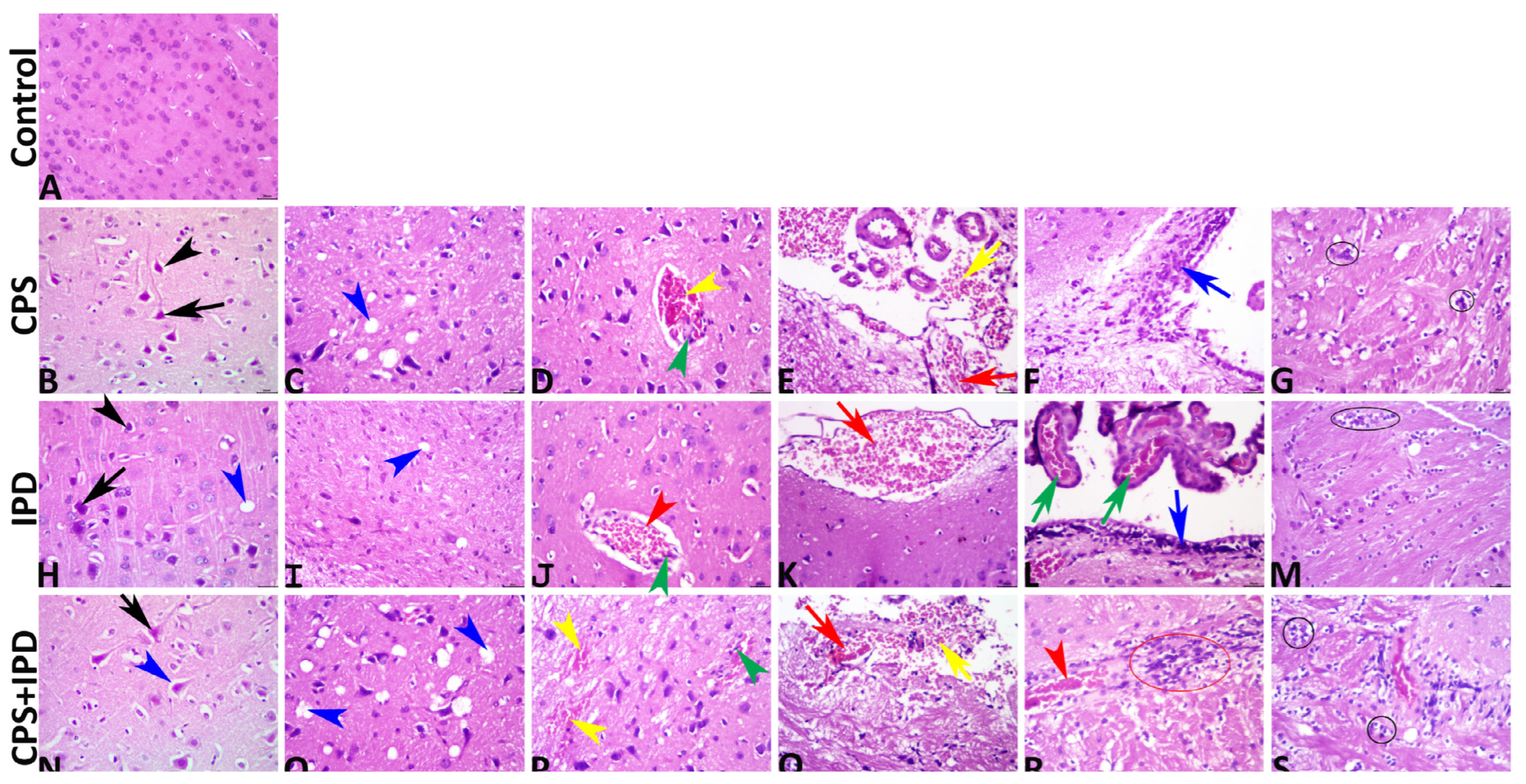 Toxics 11 00431 g007