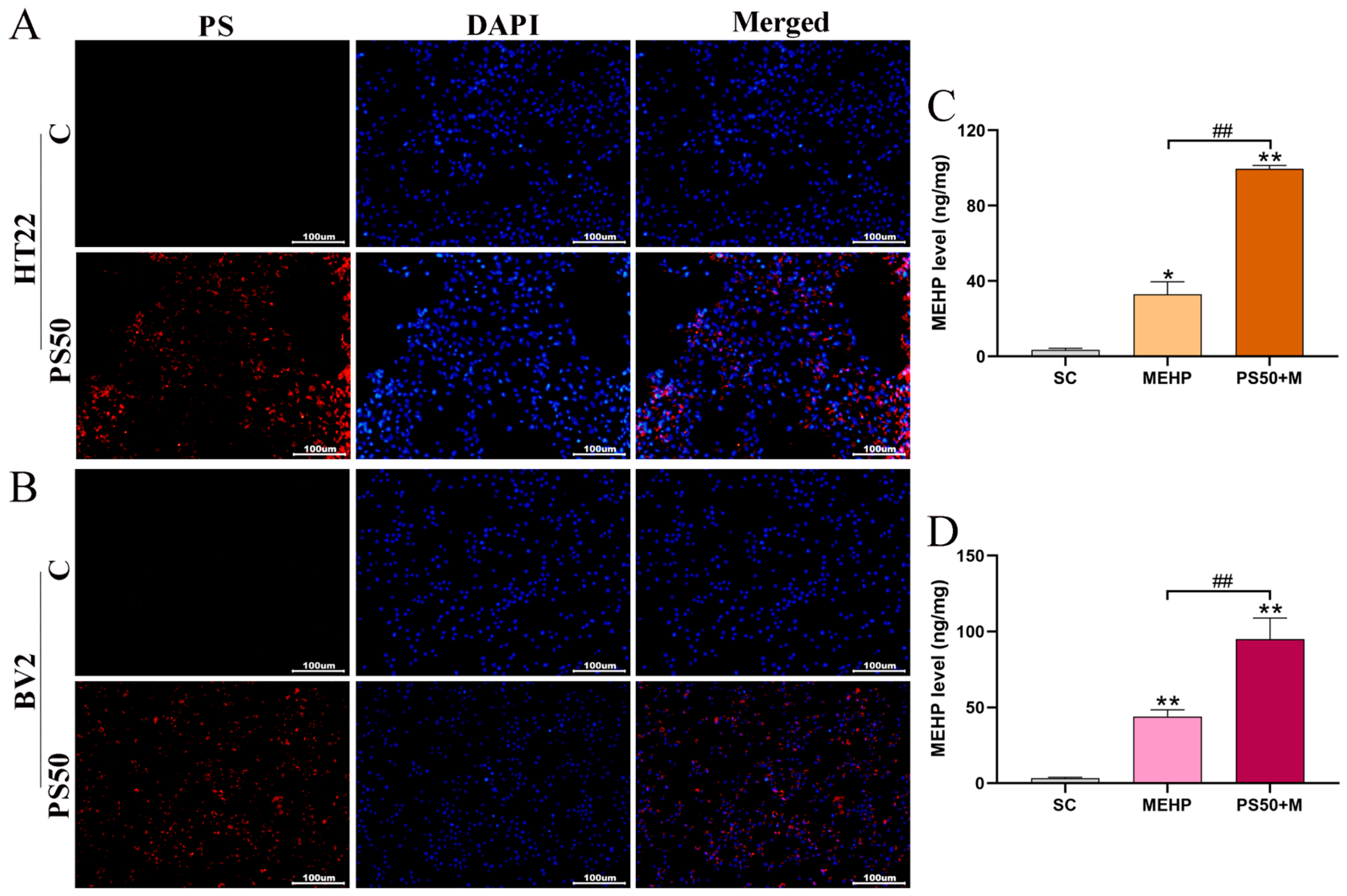 Toxics 11 00441 g007 Toxics 11 00441 g007