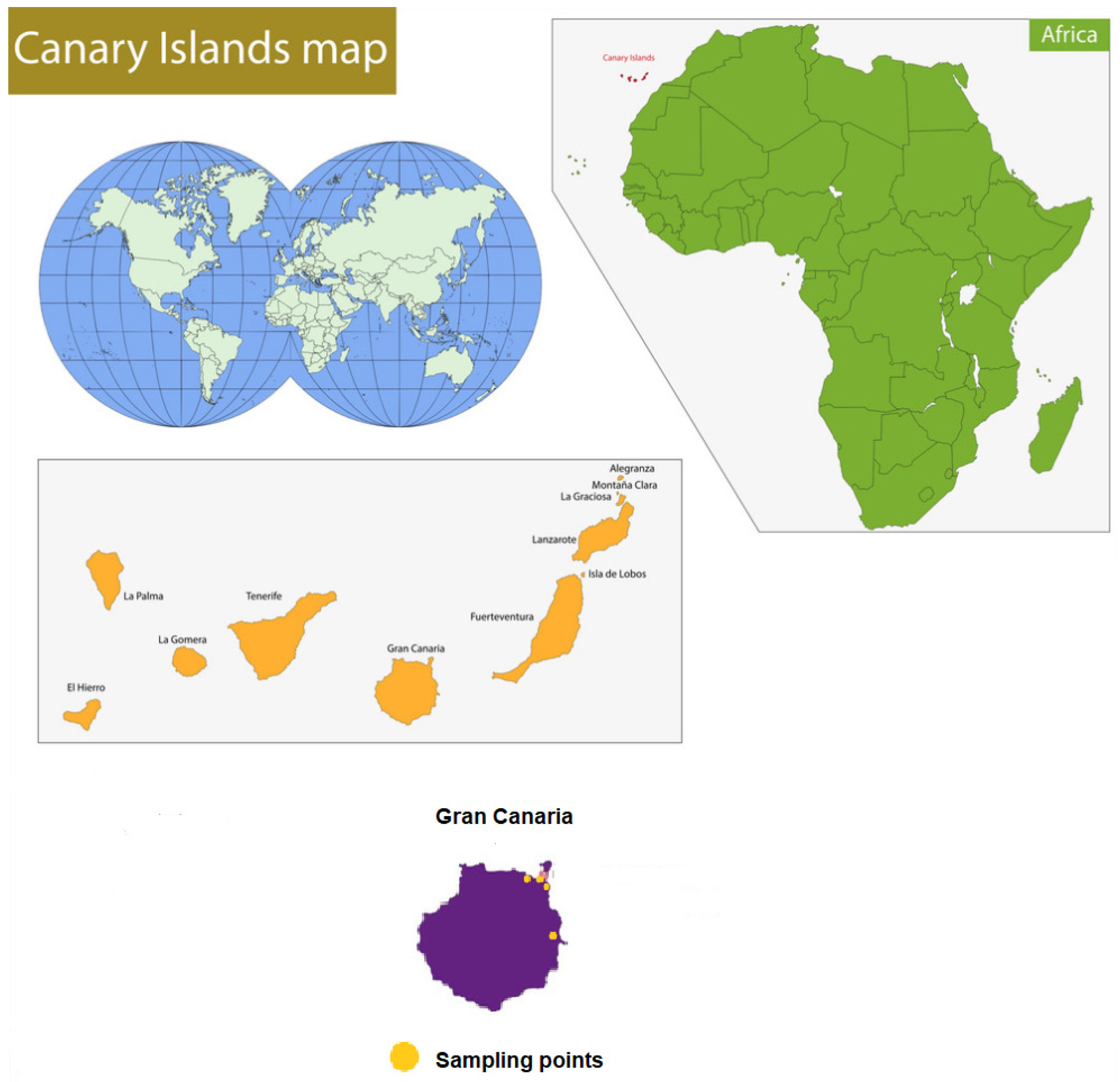 Toxics 11 00442 g001