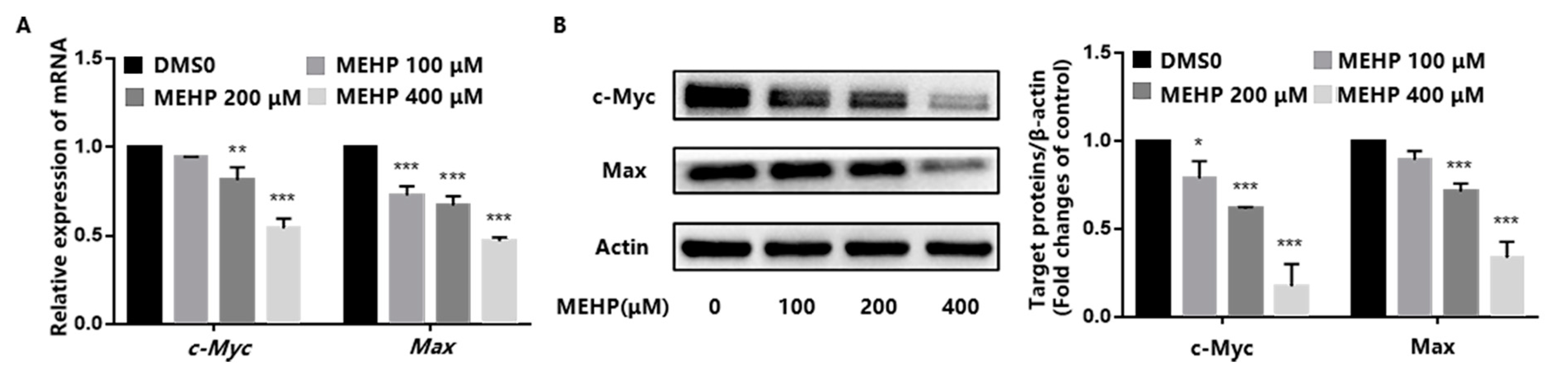 Toxics 11 00448 g004