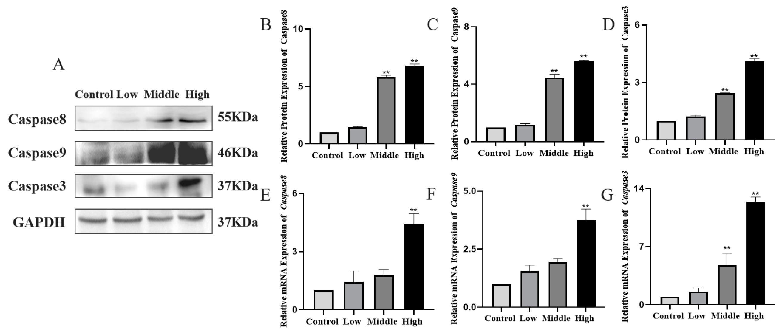 Toxics 11 00451 g009