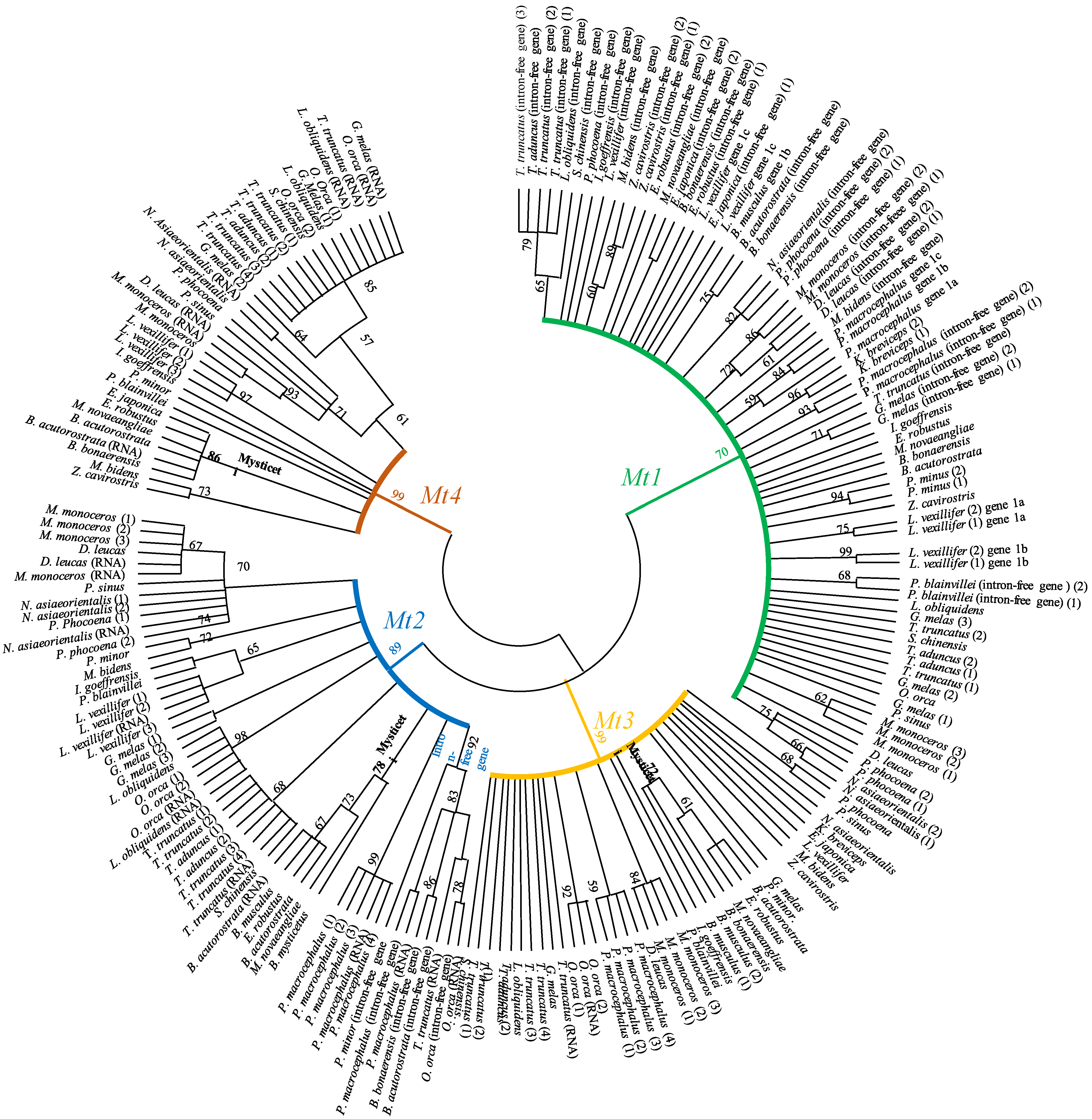 Toxics 11 00454 g002