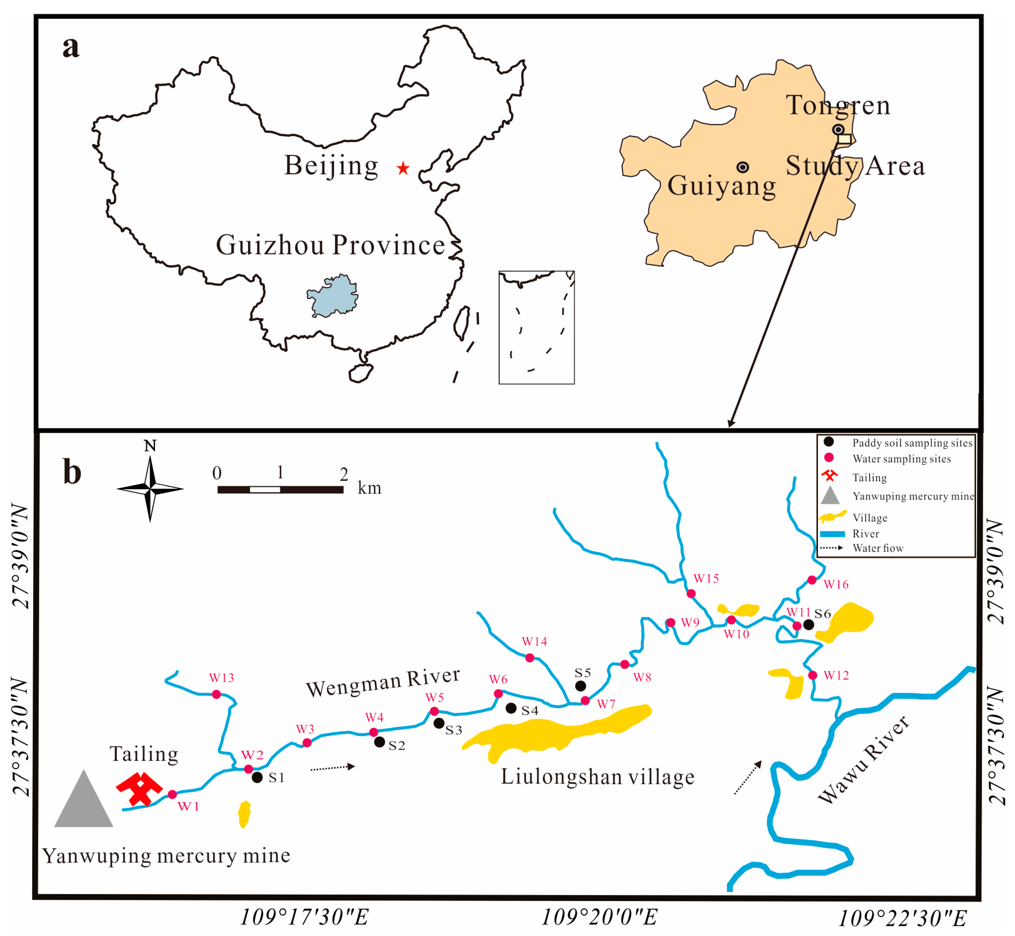 Toxics 11 00456 g001