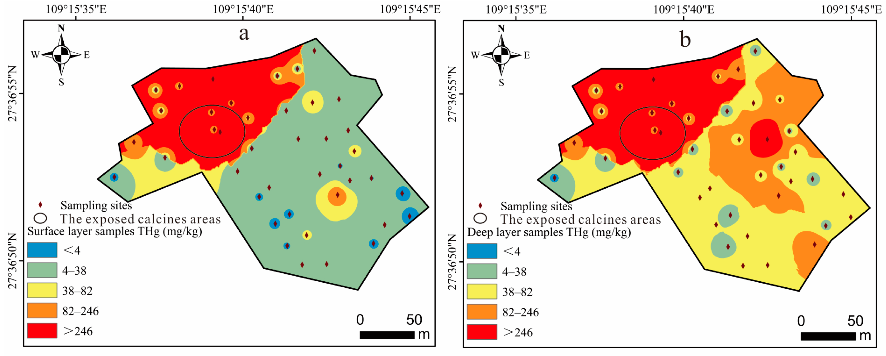 Toxics 11 00456 g002