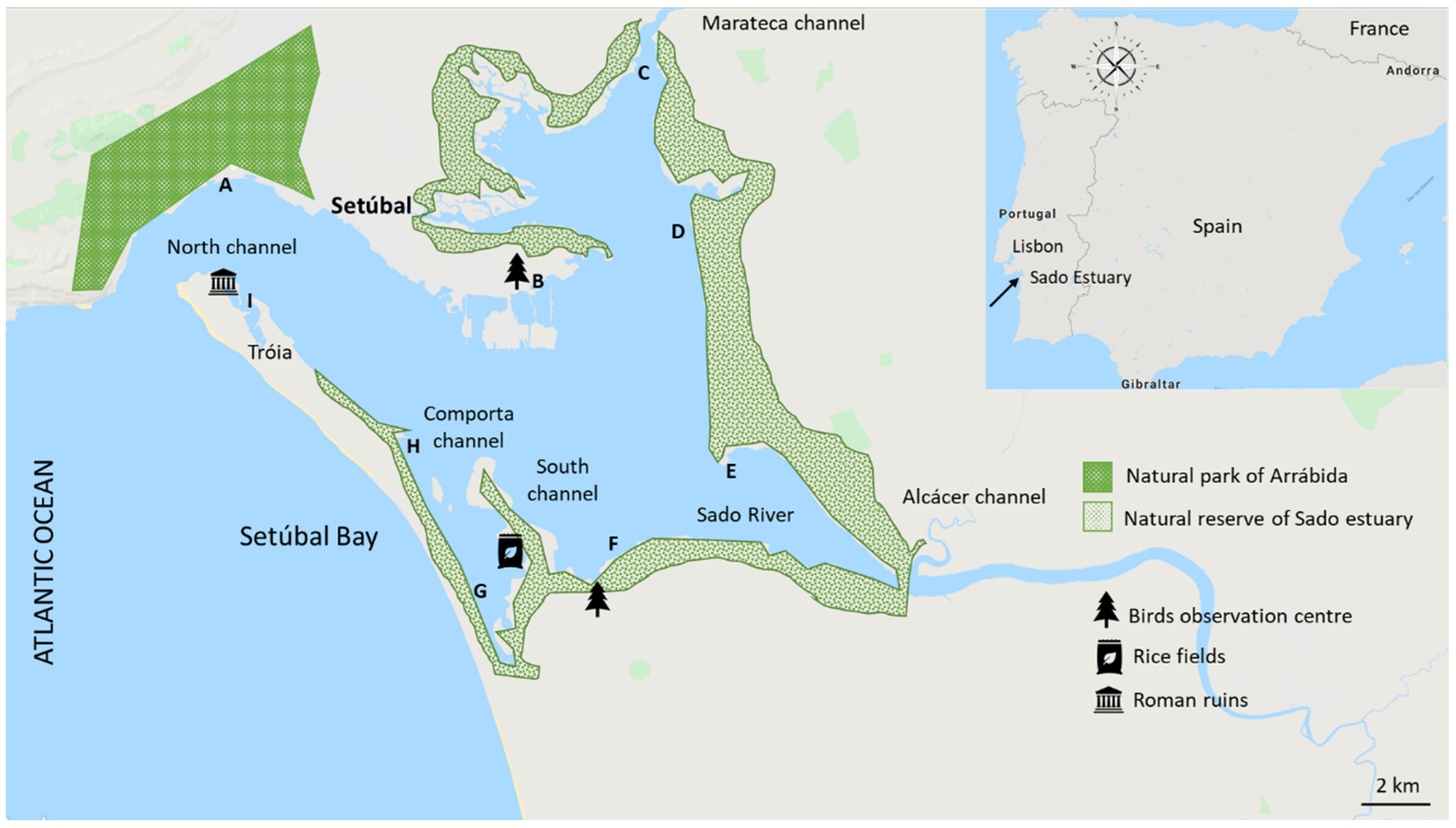 Toxics 11 00457 g001 Toxics 11 00457 g001