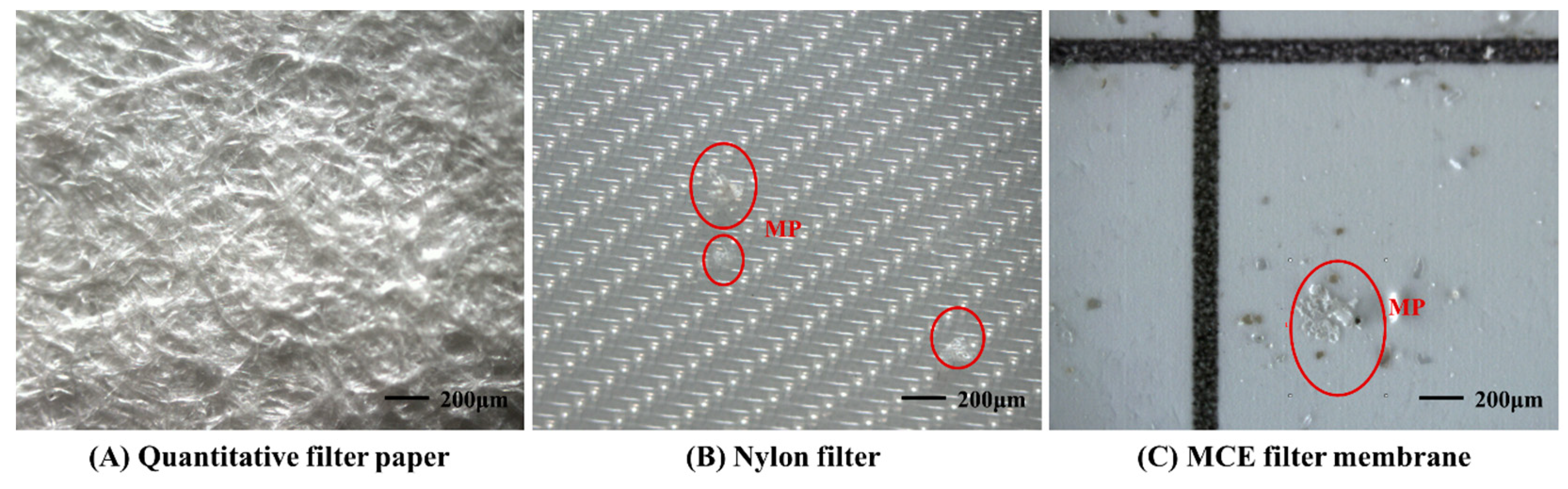 Toxics 11 00461 g002