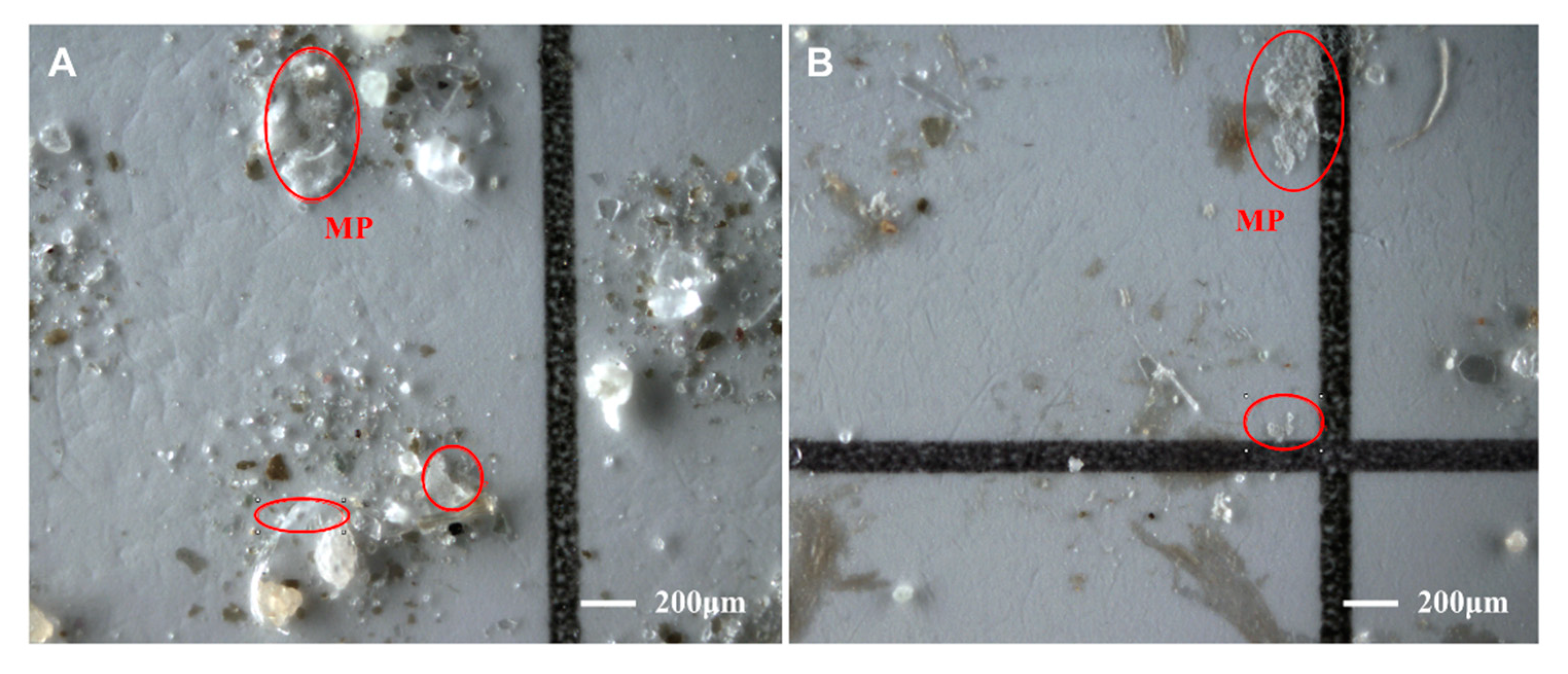 Toxics 11 00461 g005