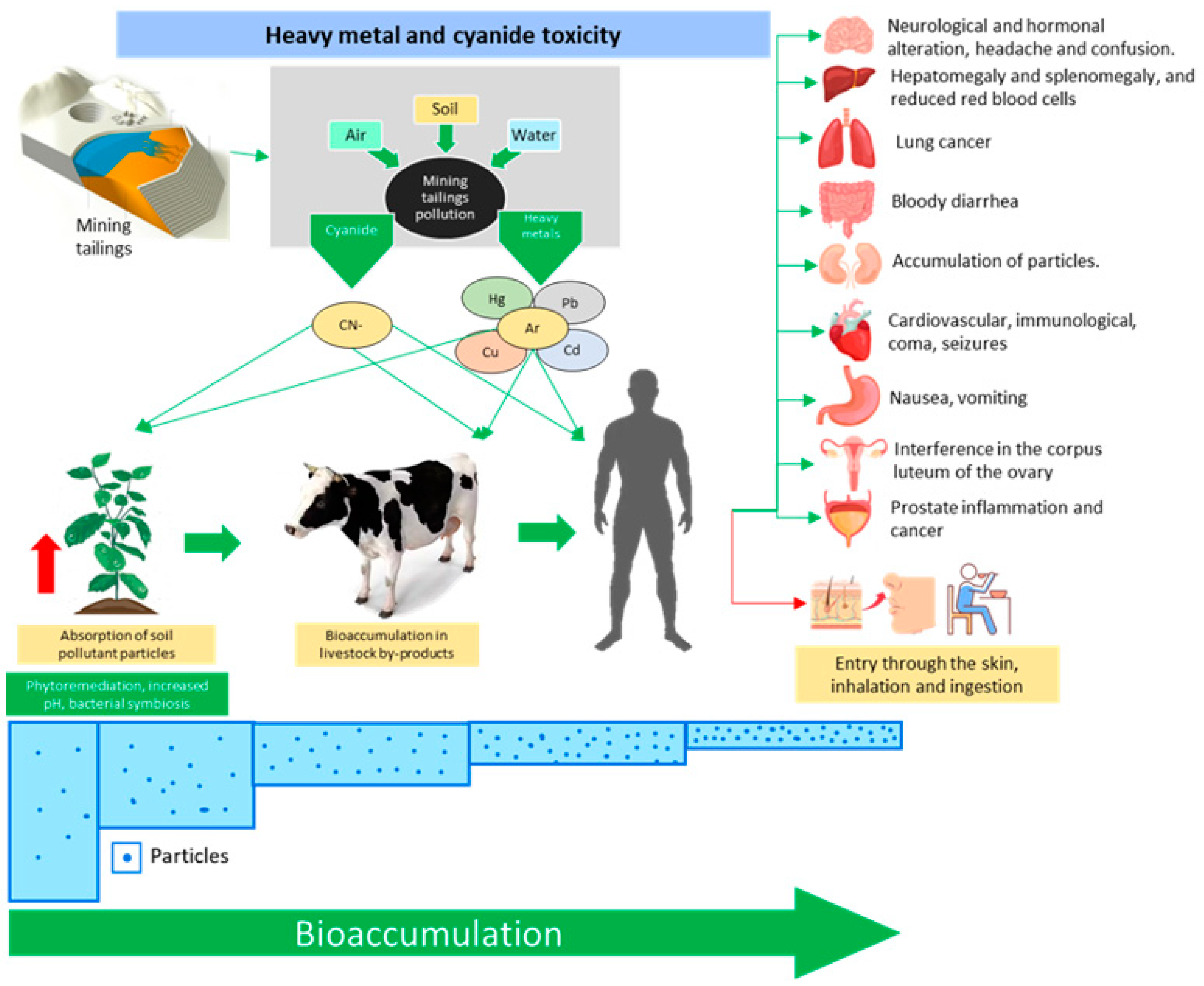 Toxics 11 00462 g024 Toxics 11 00462 g024