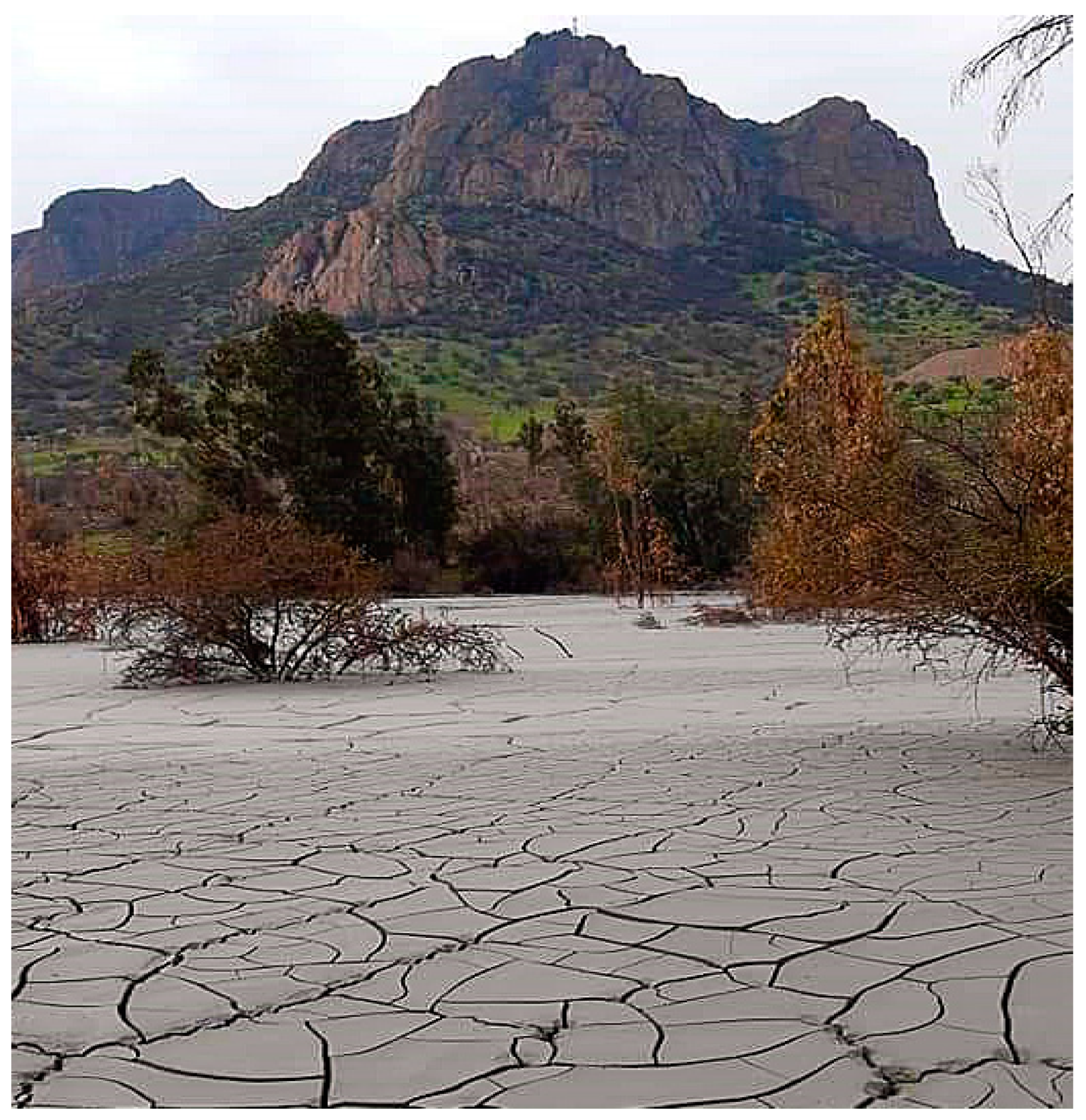 Toxics 11 00462 g027 Toxics 11 00462 g027