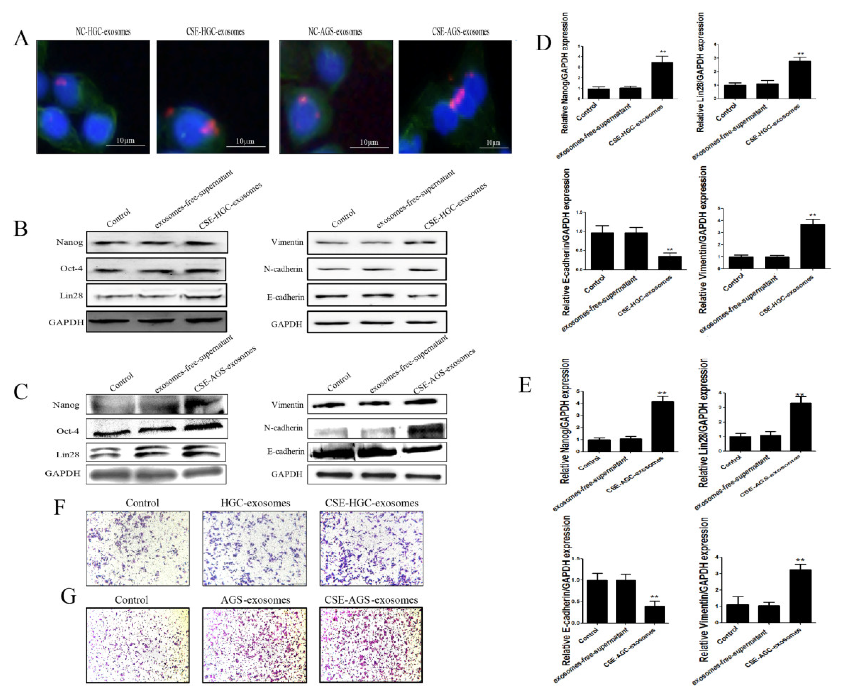 Toxics 11 00465 g003