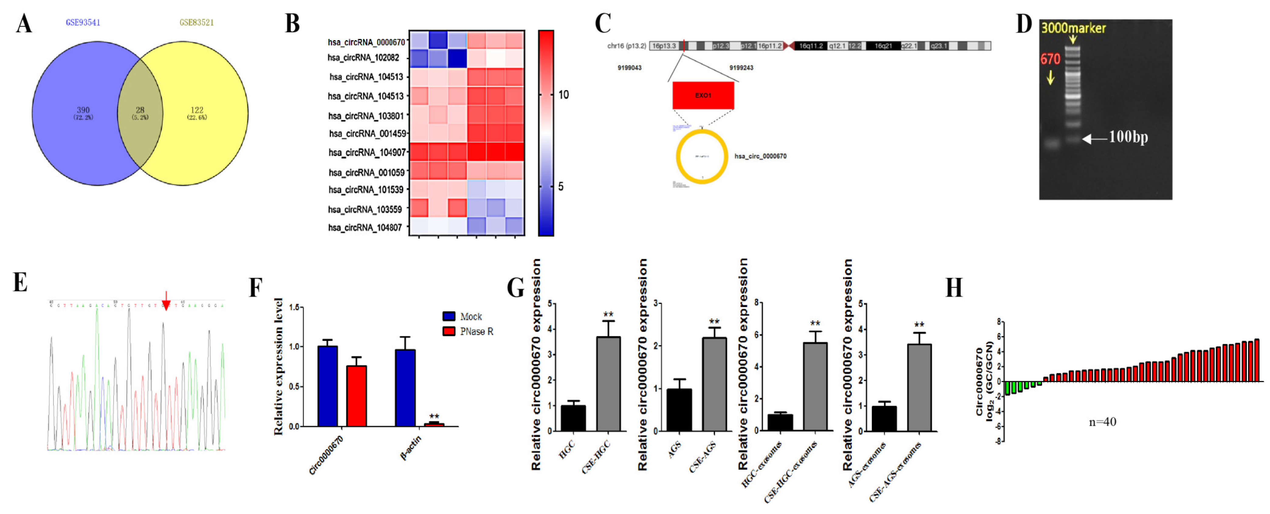 Toxics 11 00465 g004