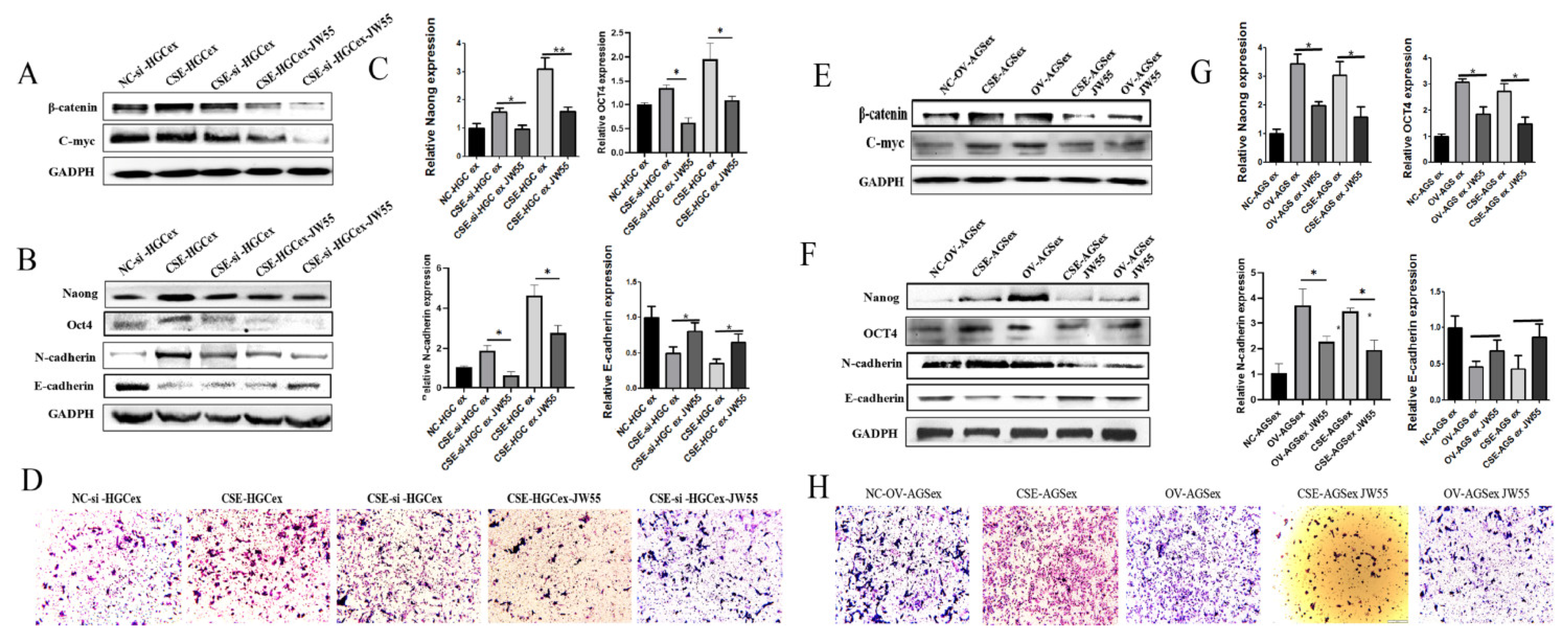 Toxics 11 00465 g006