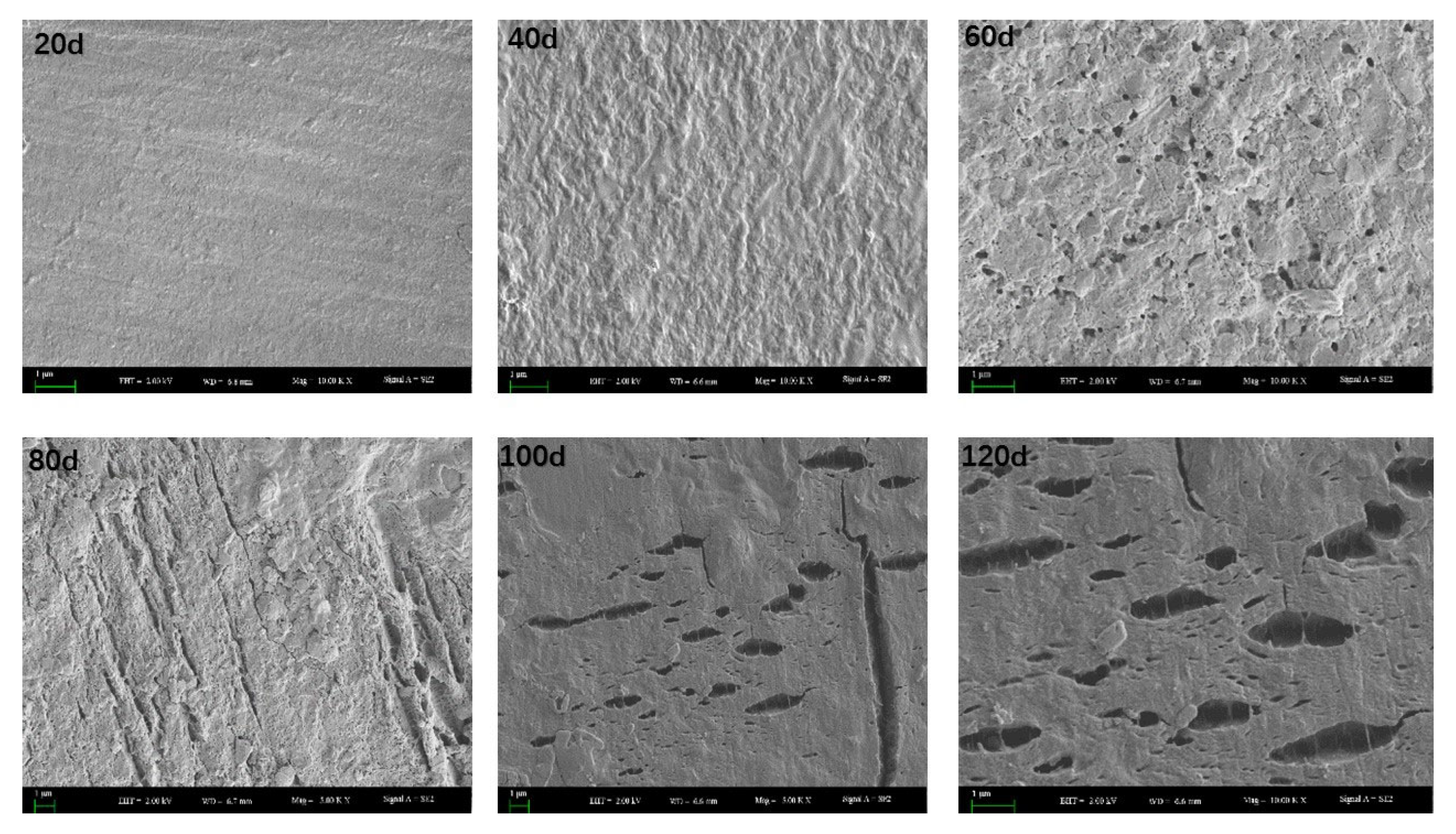 Toxics 11 00467 g004