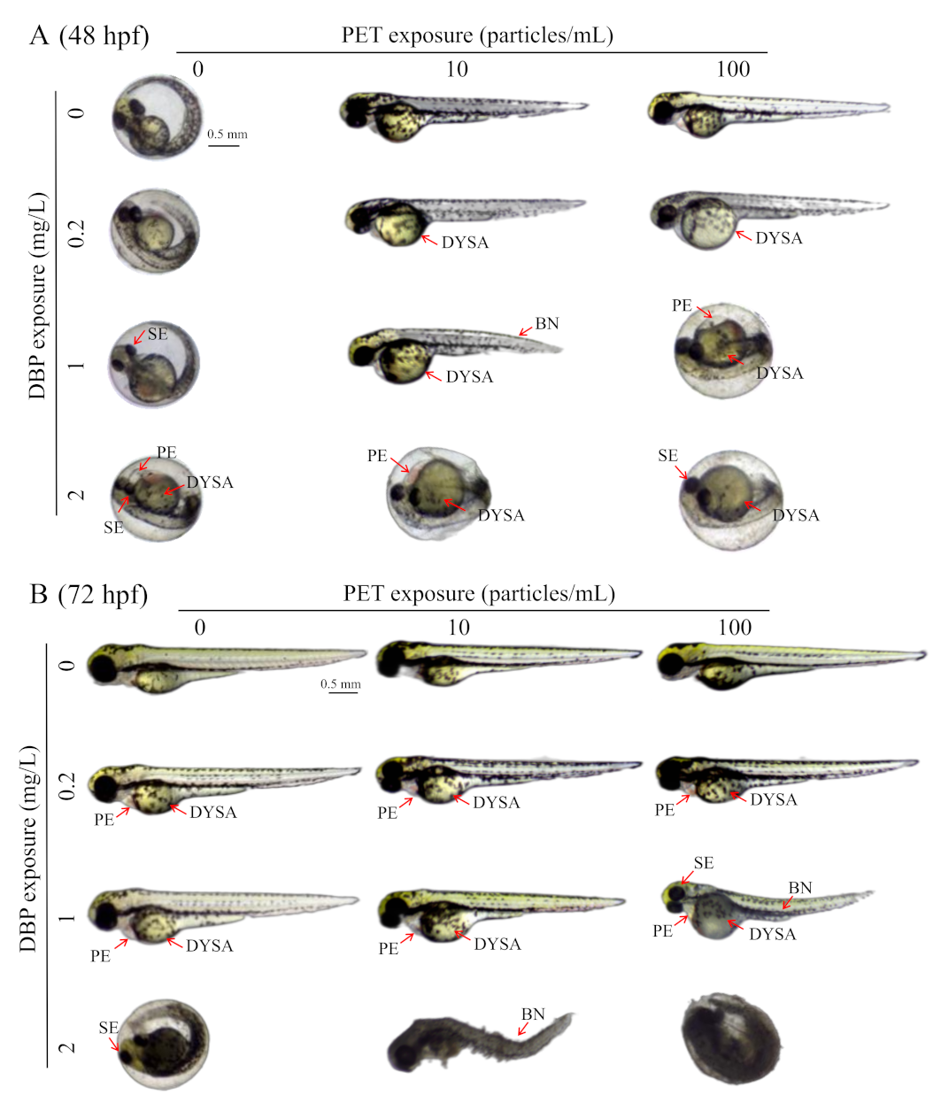 Toxics 11 00469 g005 Toxics 11 00469 g005