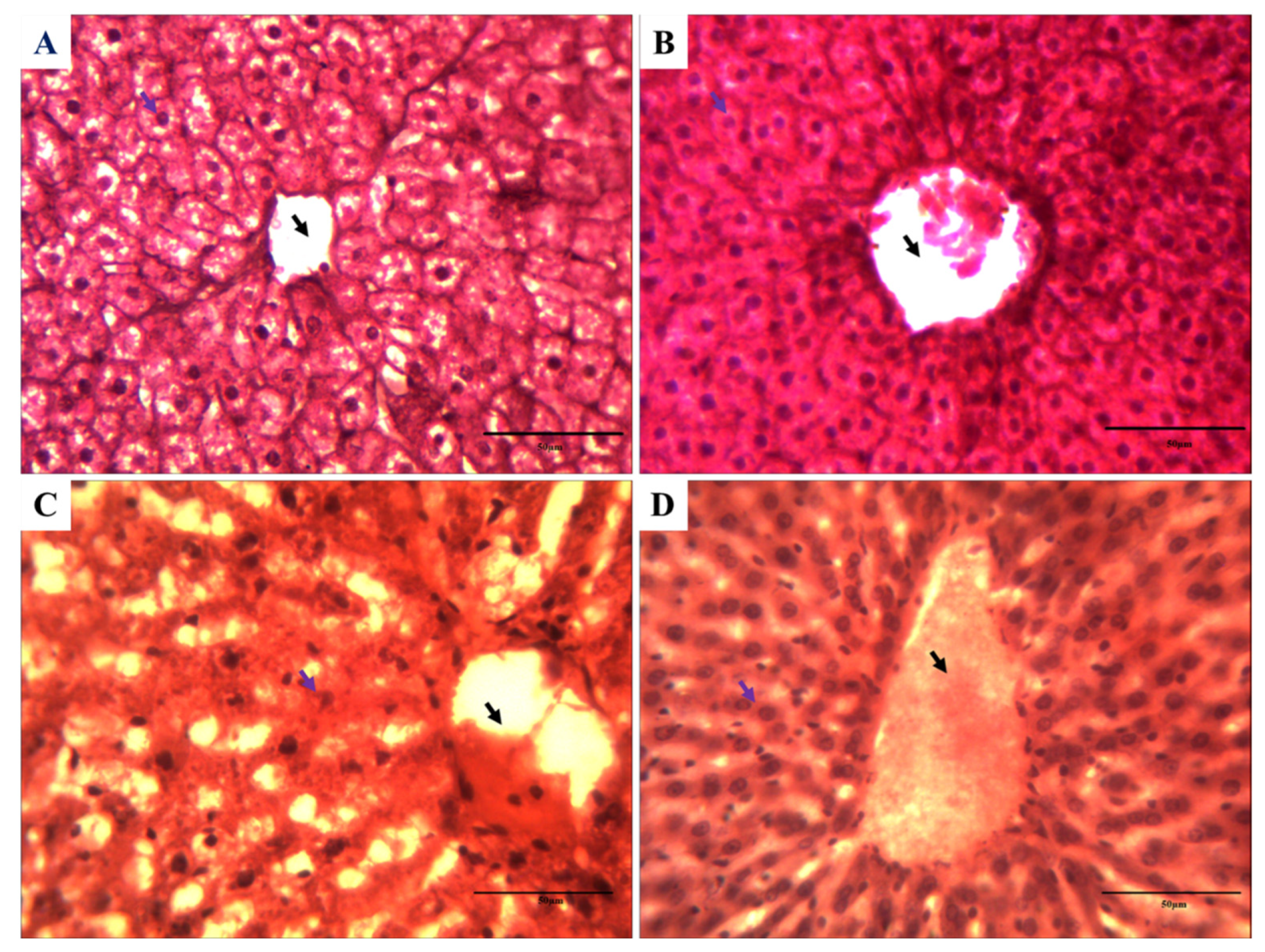 Toxics 11 00472 g006 Toxics 11 00472 g006