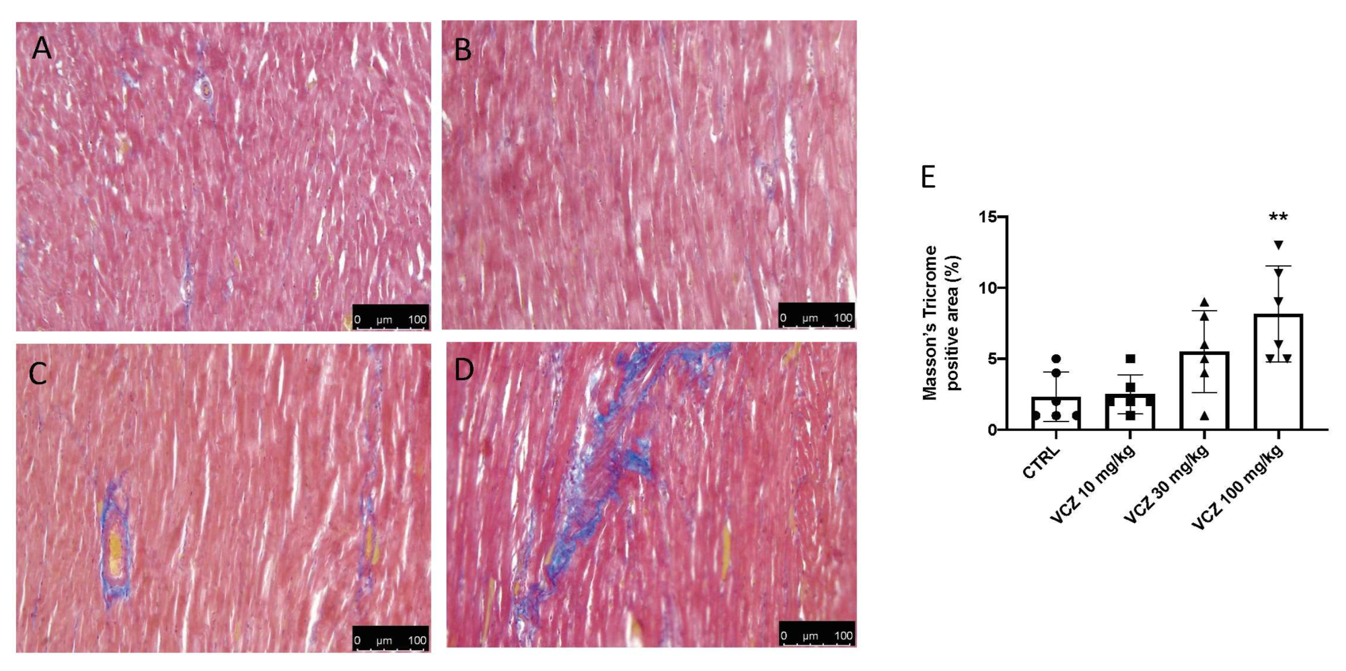 Toxics 11 00473 g002