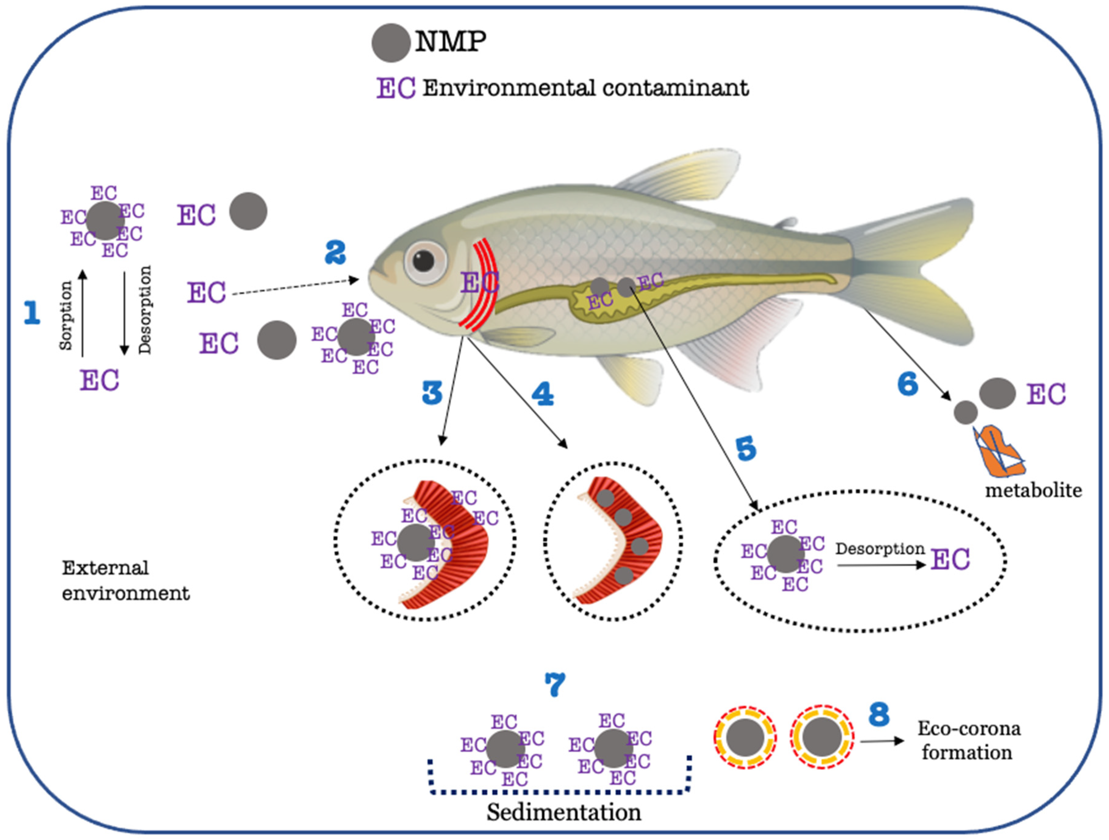 Toxics 11 00474 g004 Toxics 11 00474 g004