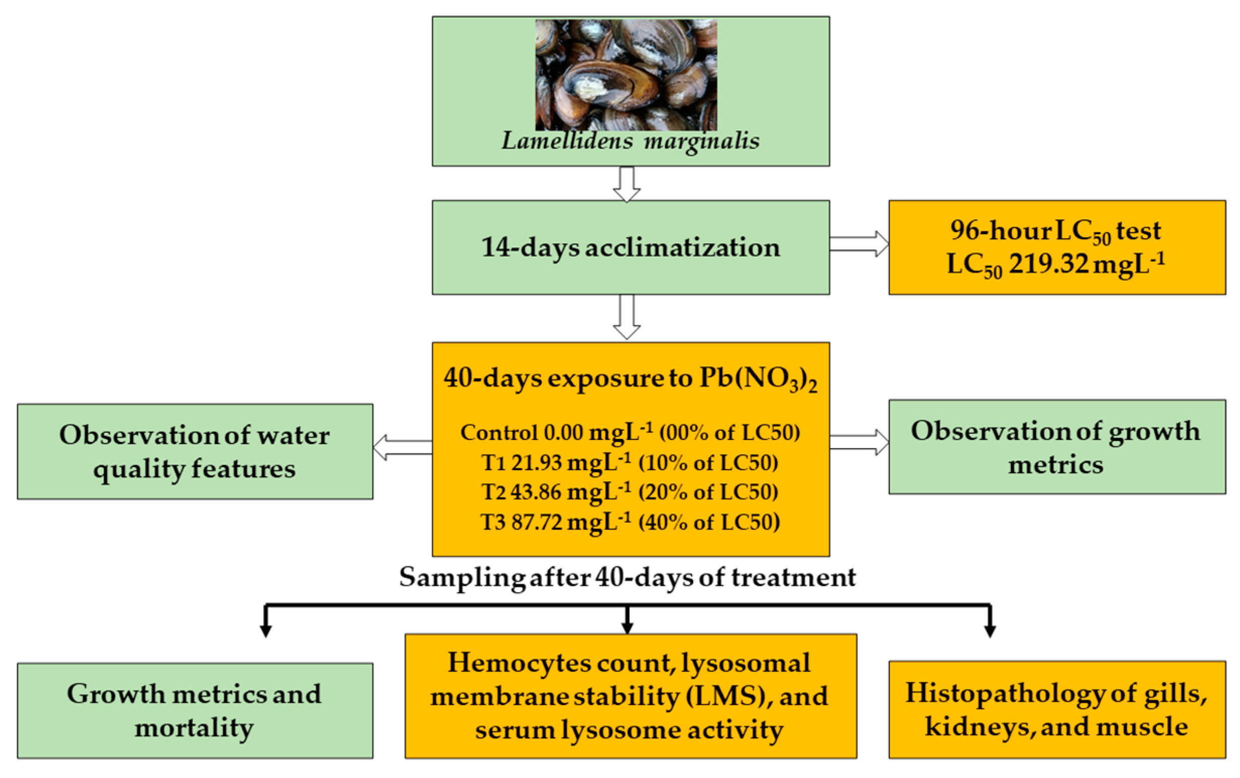 Toxics 11 00475 g001