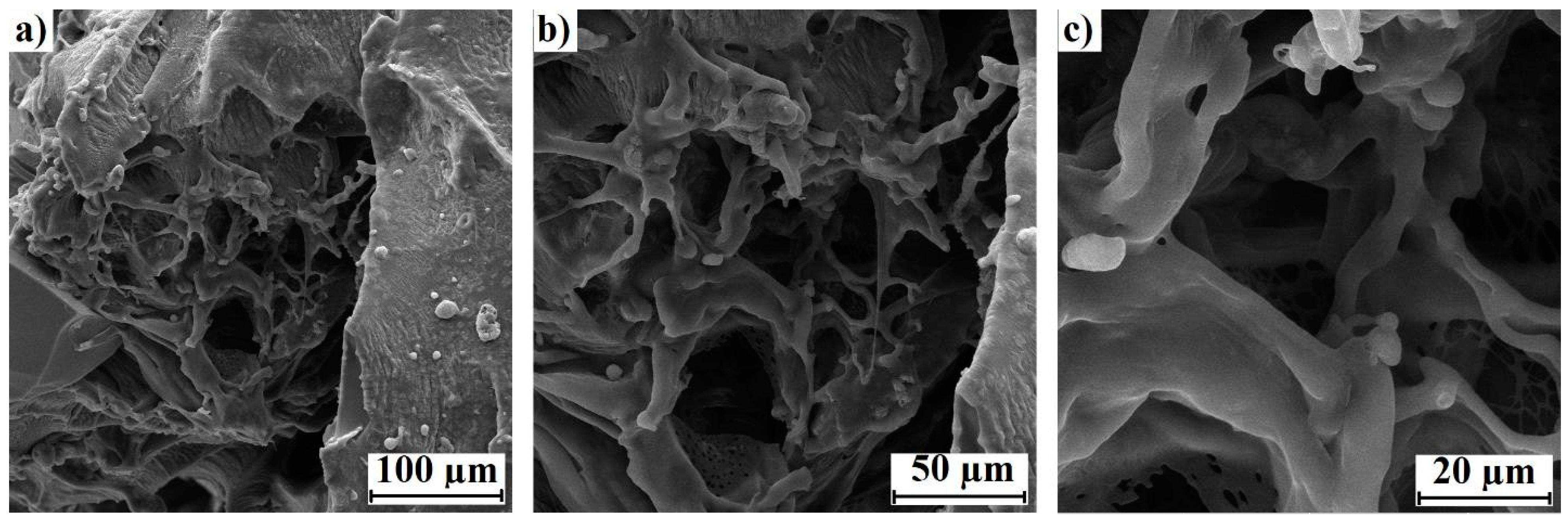 Toxics 11 00476 g004