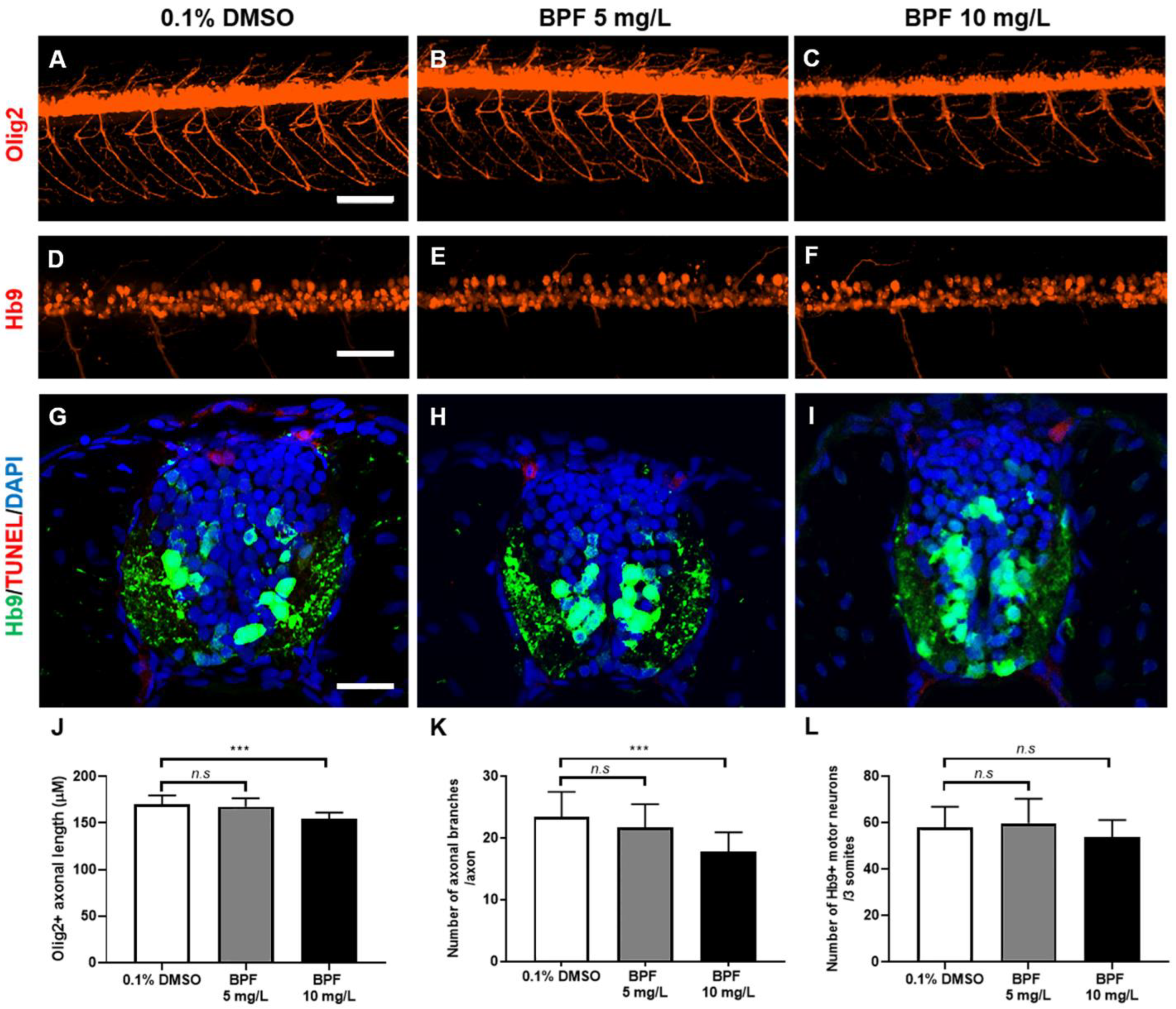 Toxics 11 00477 g005