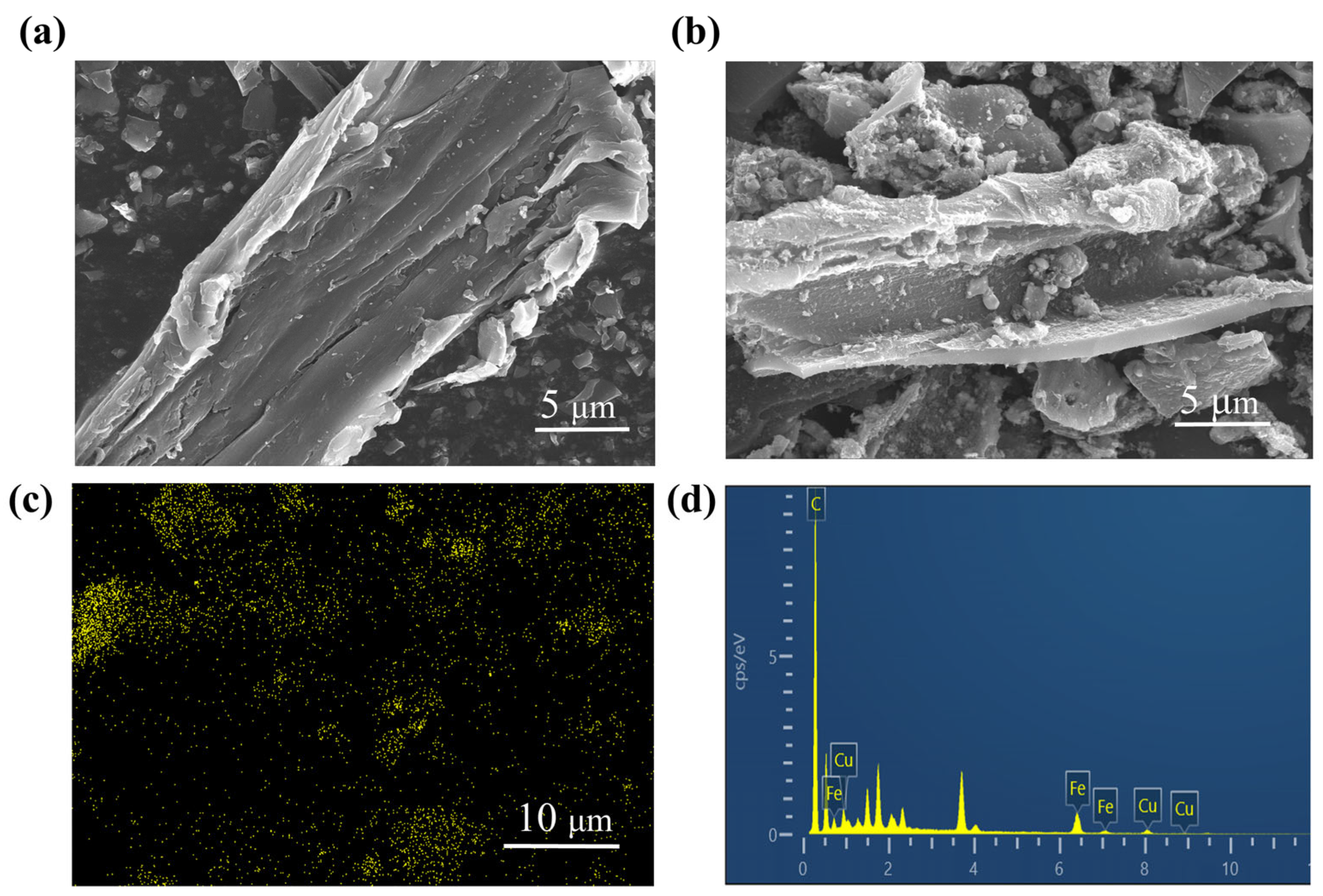 Toxics 11 00484 g001
