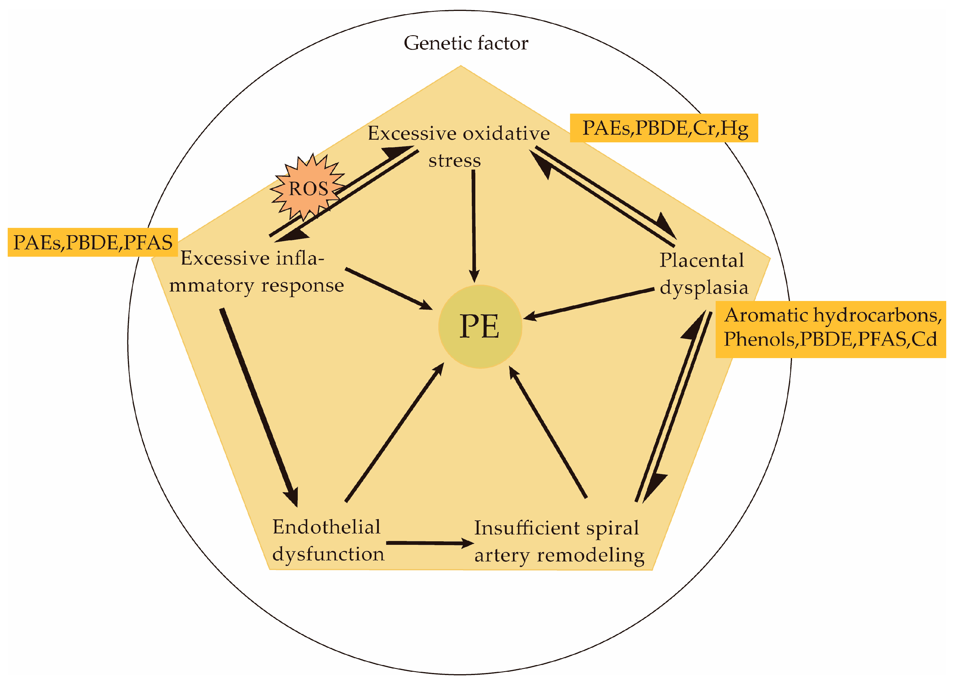 Toxics 11 00492 g001 Toxics 11 00492 g001