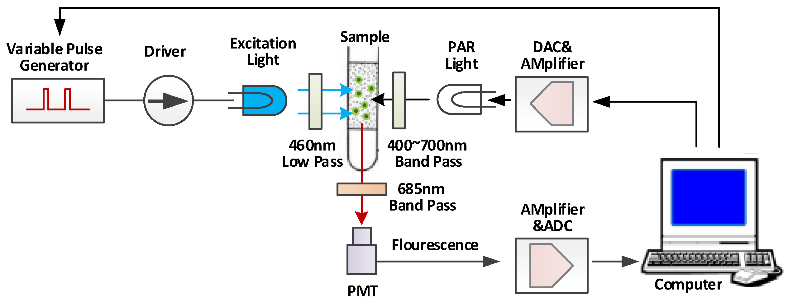 Toxics 11 00493 g001