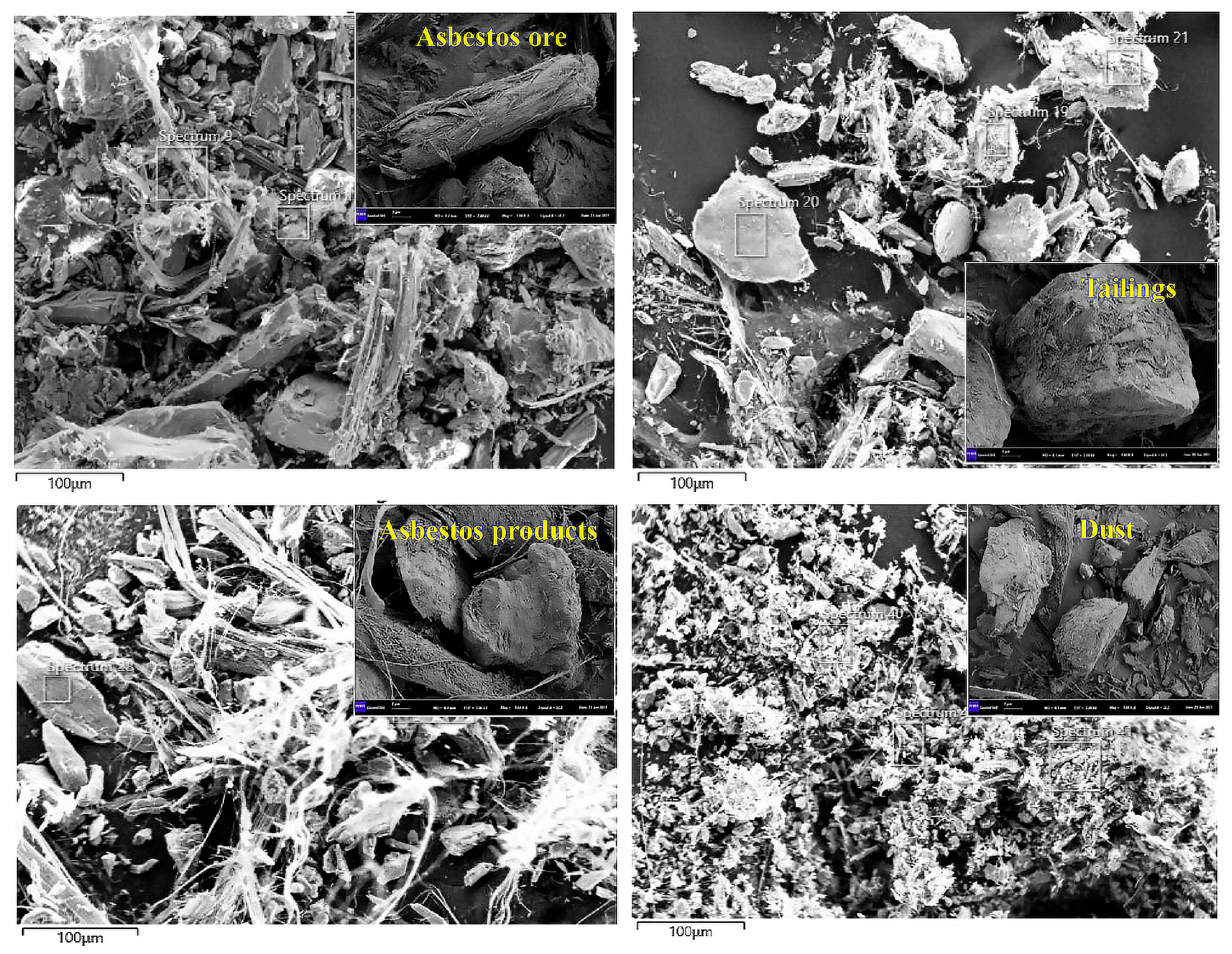 Toxics 11 00494 g003
