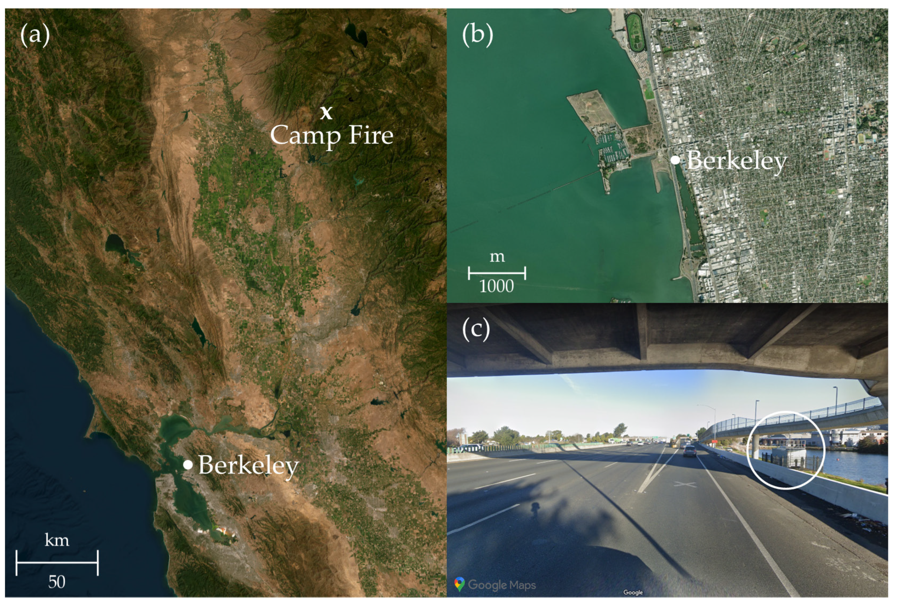 Toxics 11 00497 g001