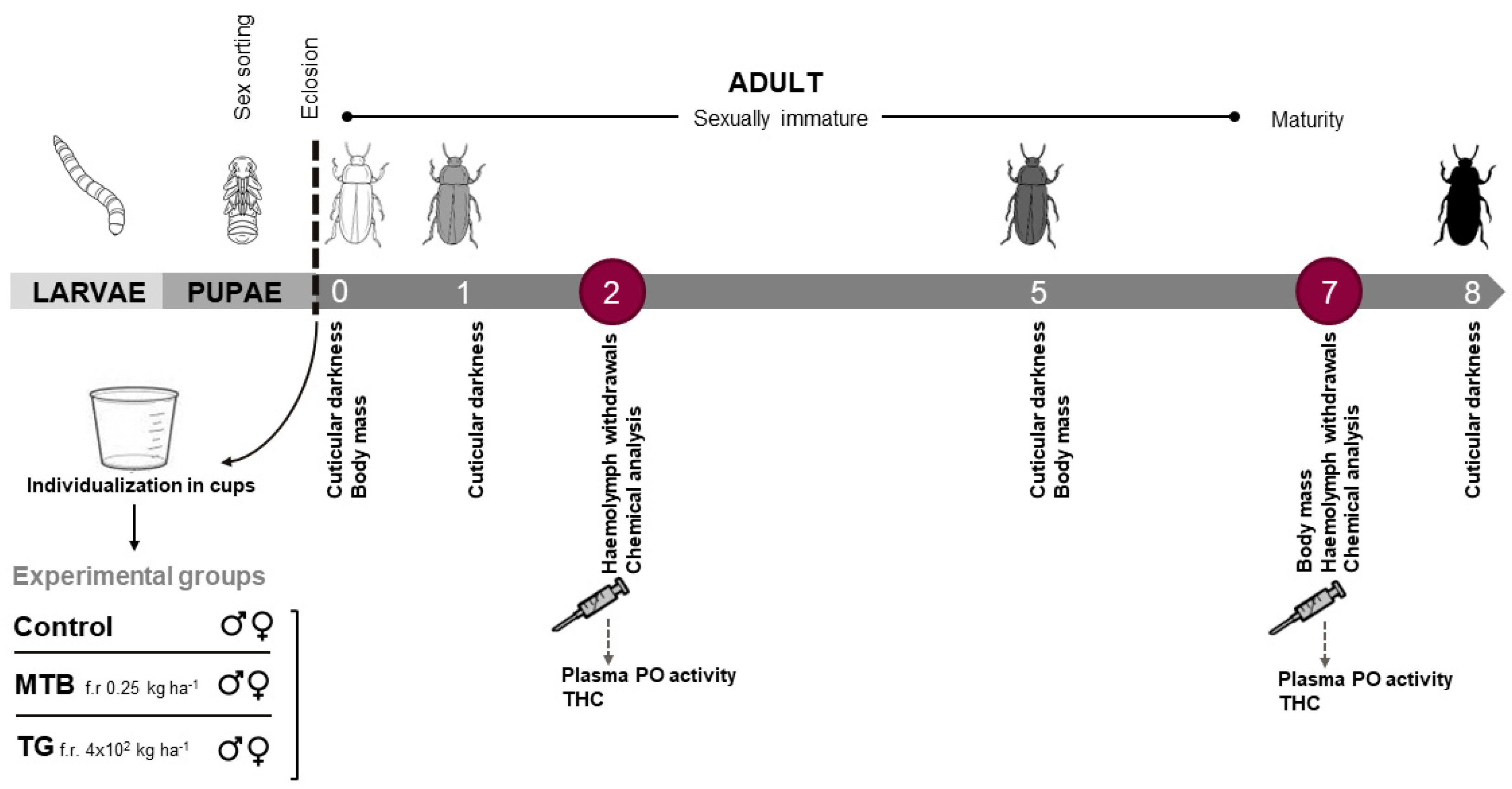 Toxics 11 00499 g001