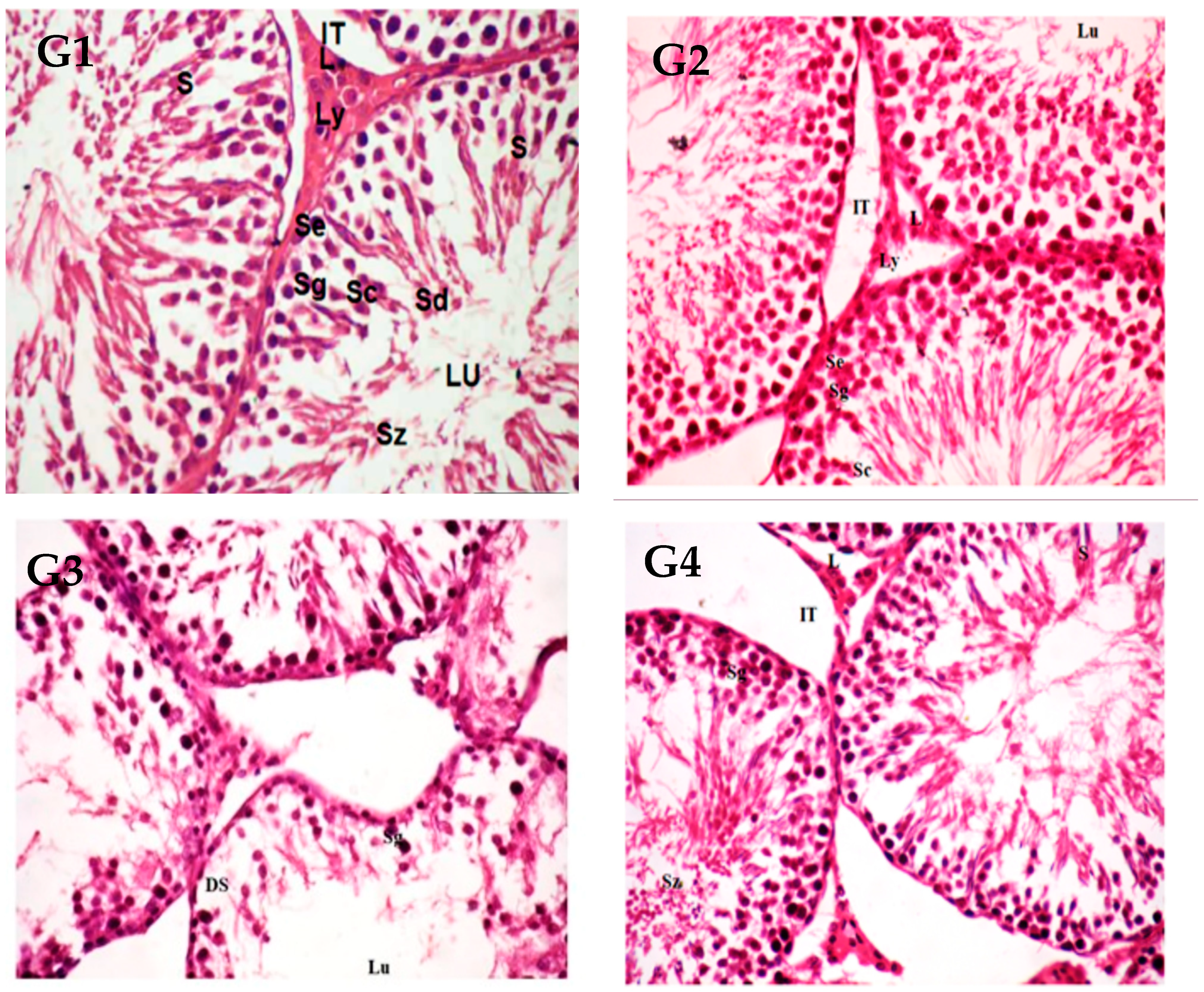 Toxics 11 00504 g005