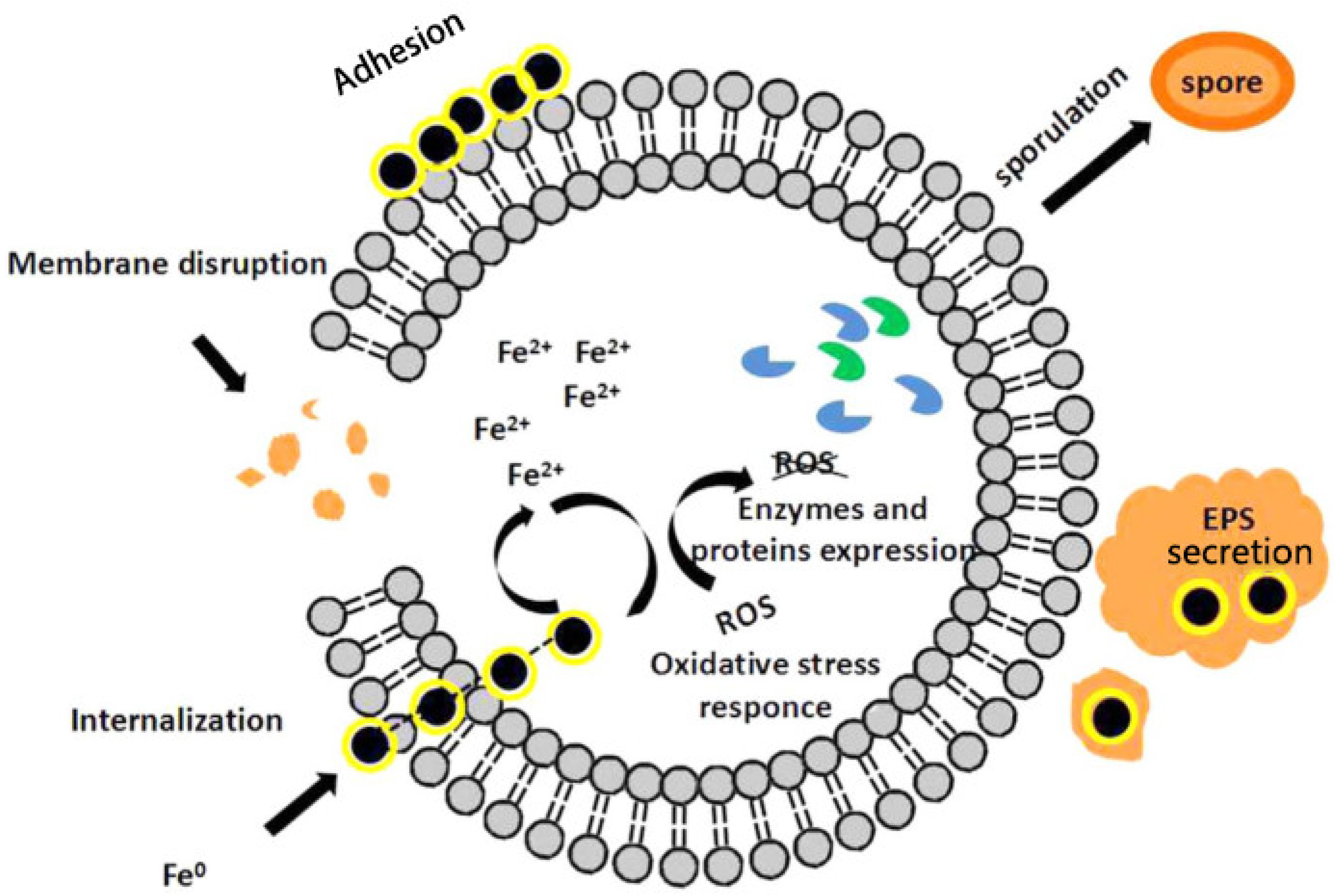 Toxics 11 00514 g007 Toxics 11 00514 g007