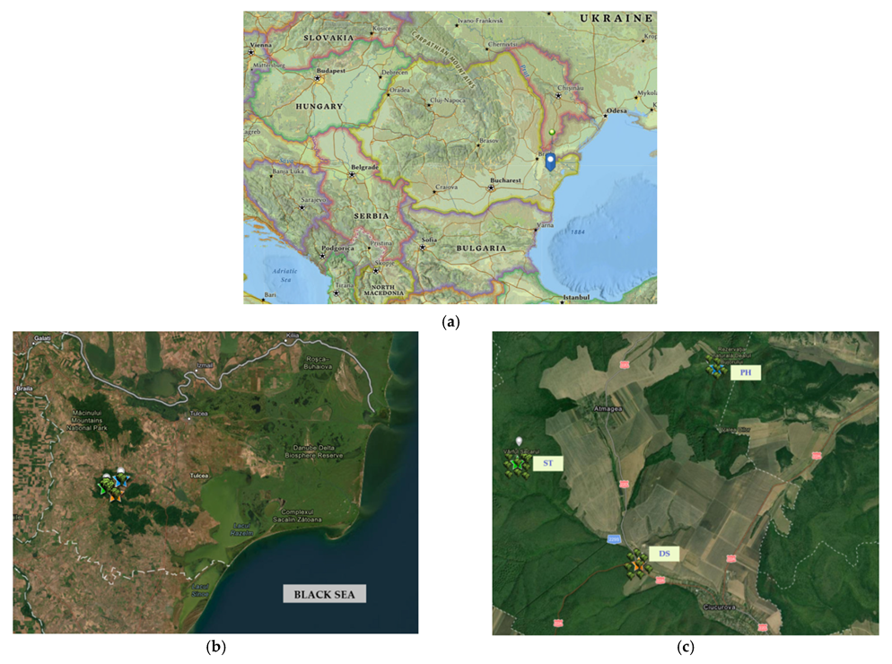 Toxics 11 00520 g001