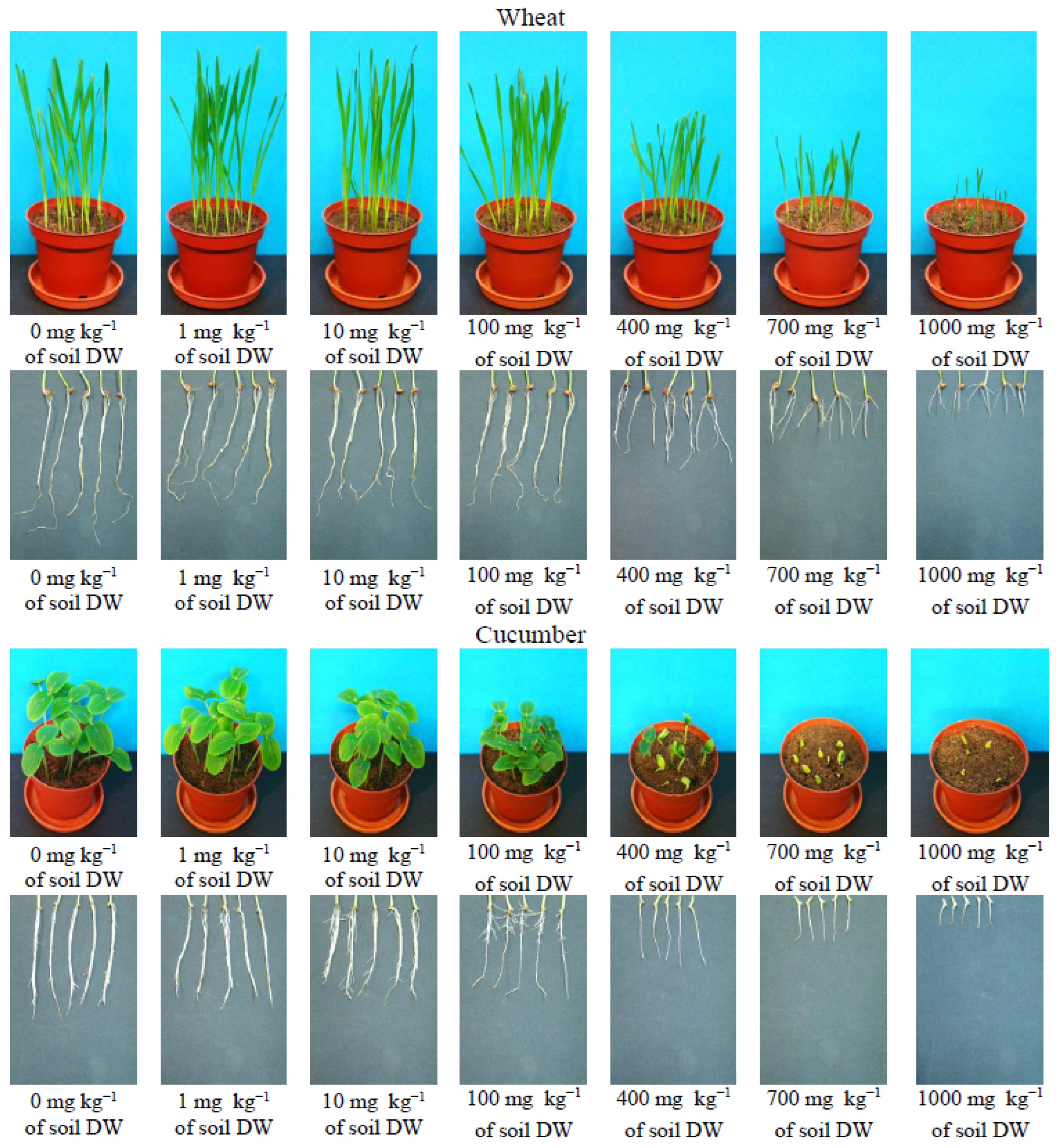Toxics 11 00522 g001 Toxics 11 00522 g001