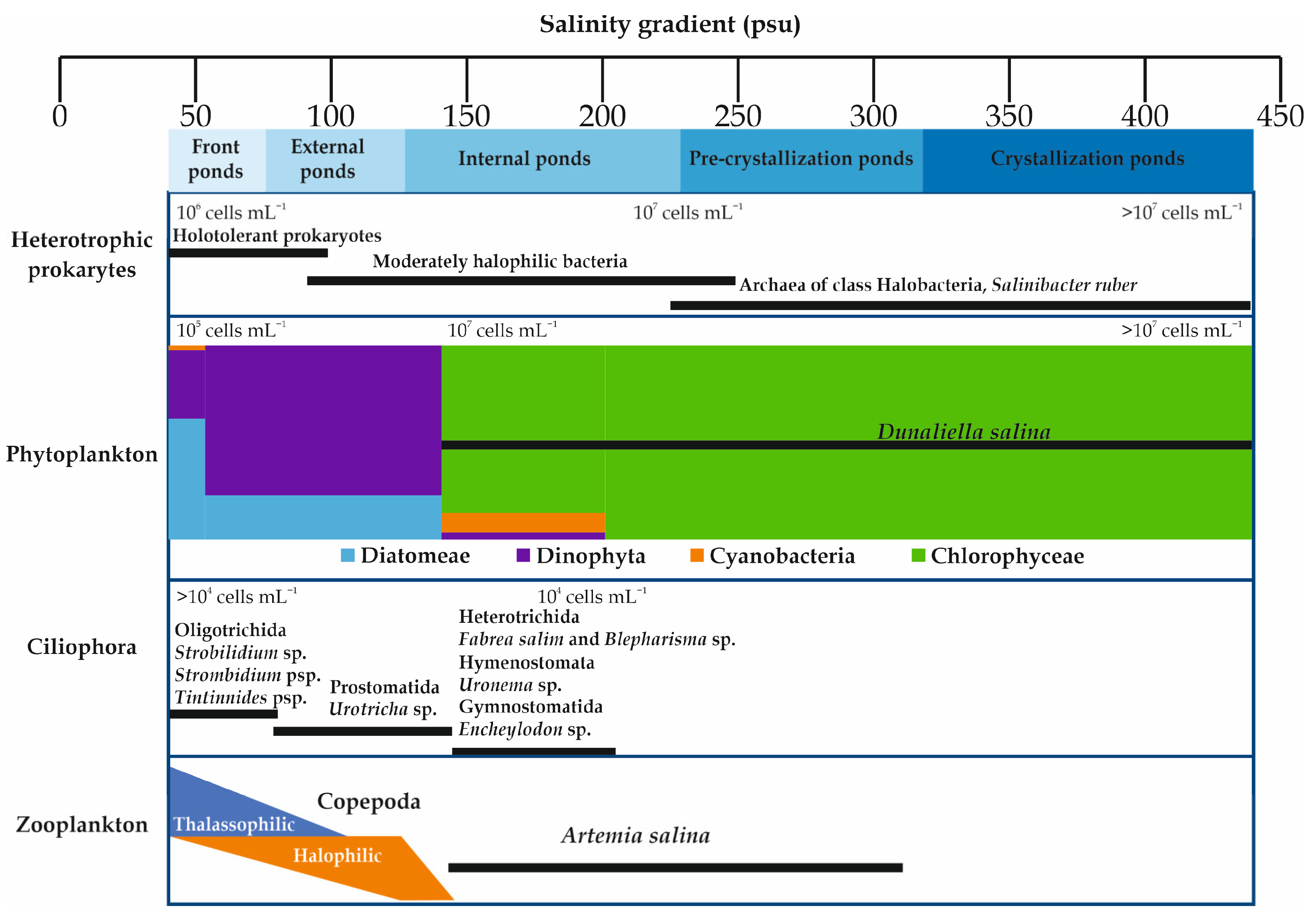 Toxics 11 00524 g002