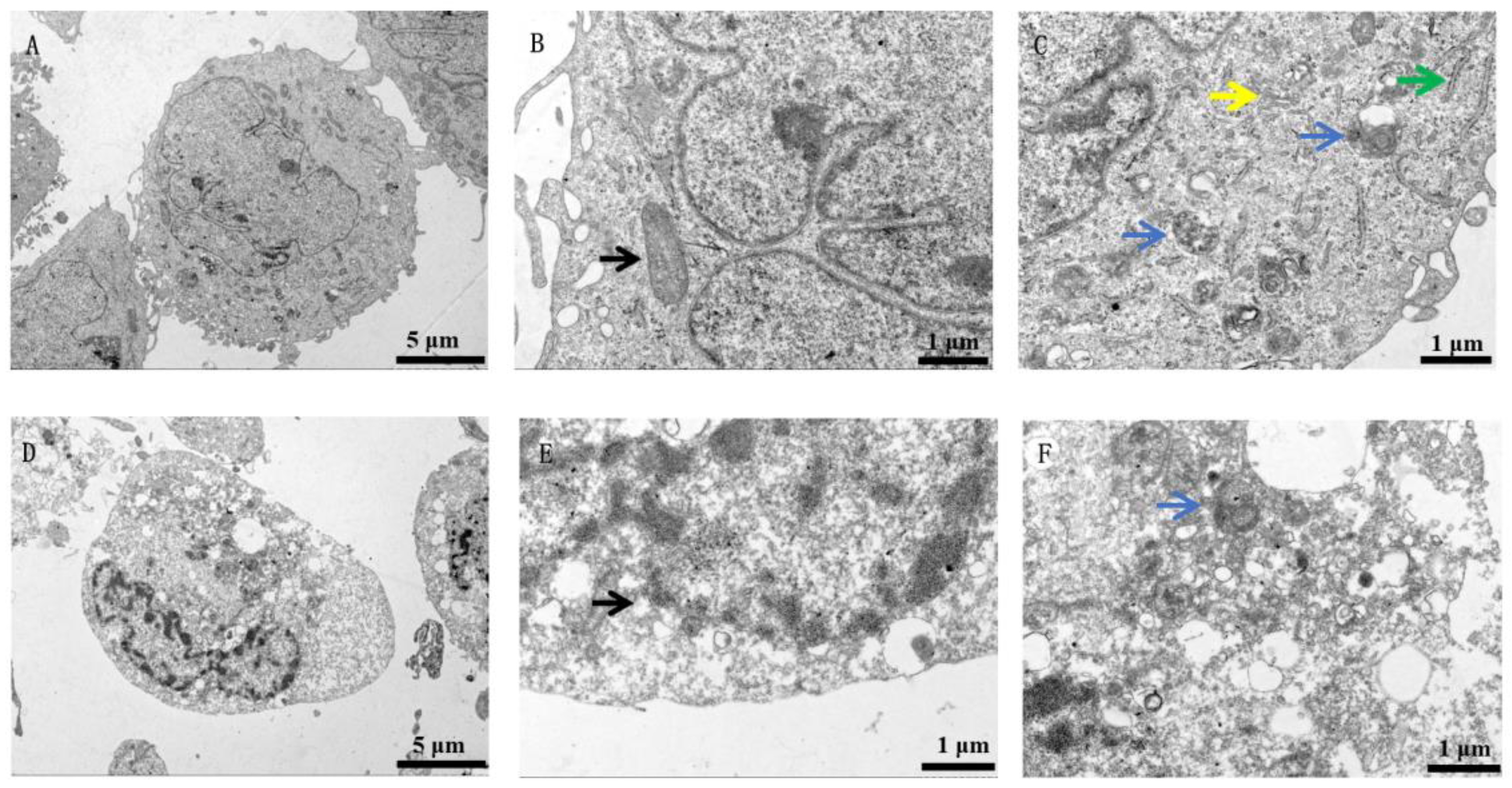 Toxics 11 00528 g001