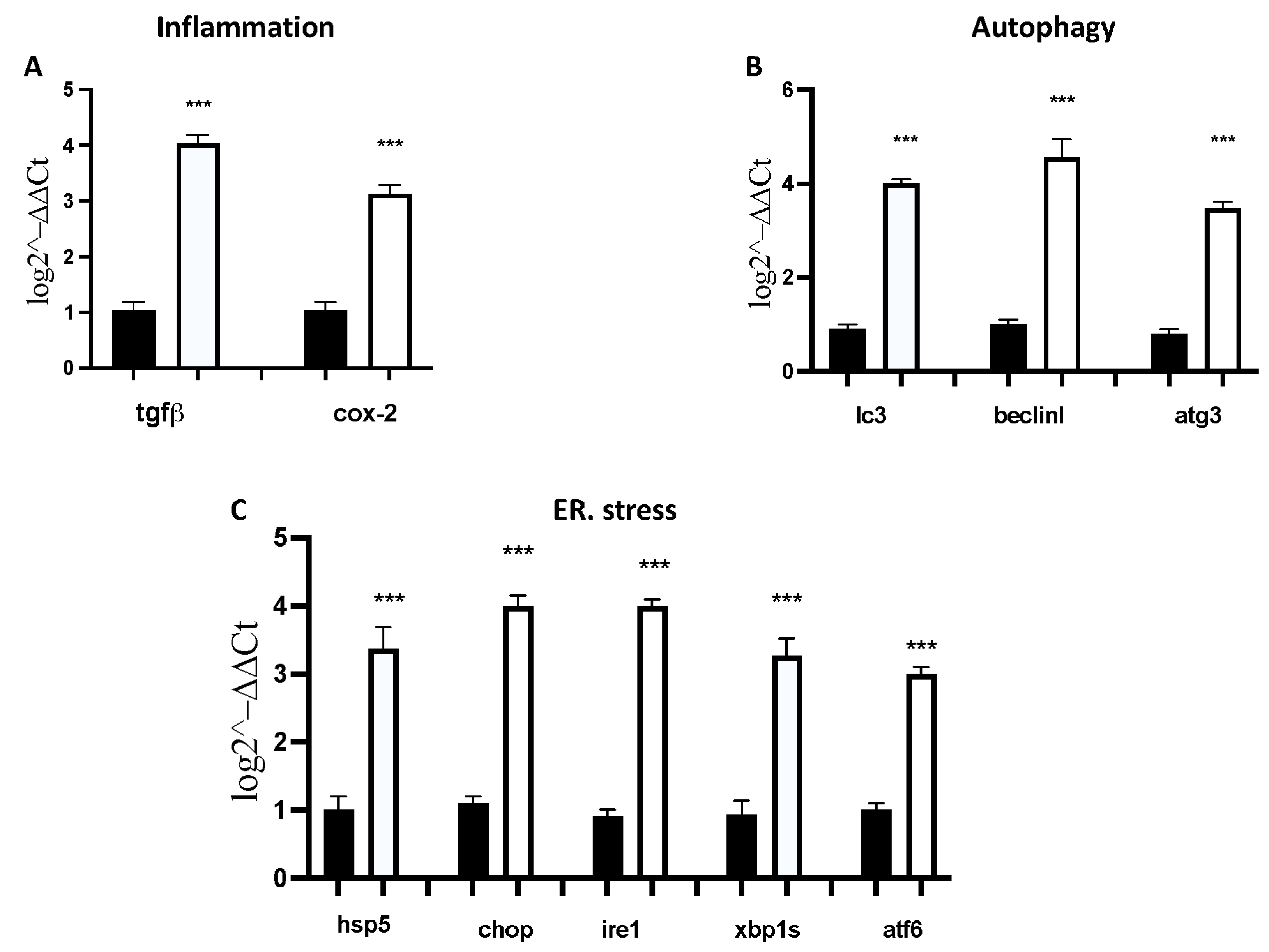 Toxics 11 00544 g004