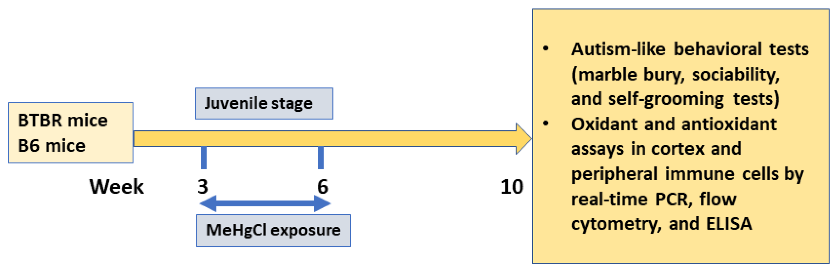 Toxics 11 00546 g001 Toxics 11 00546 g001