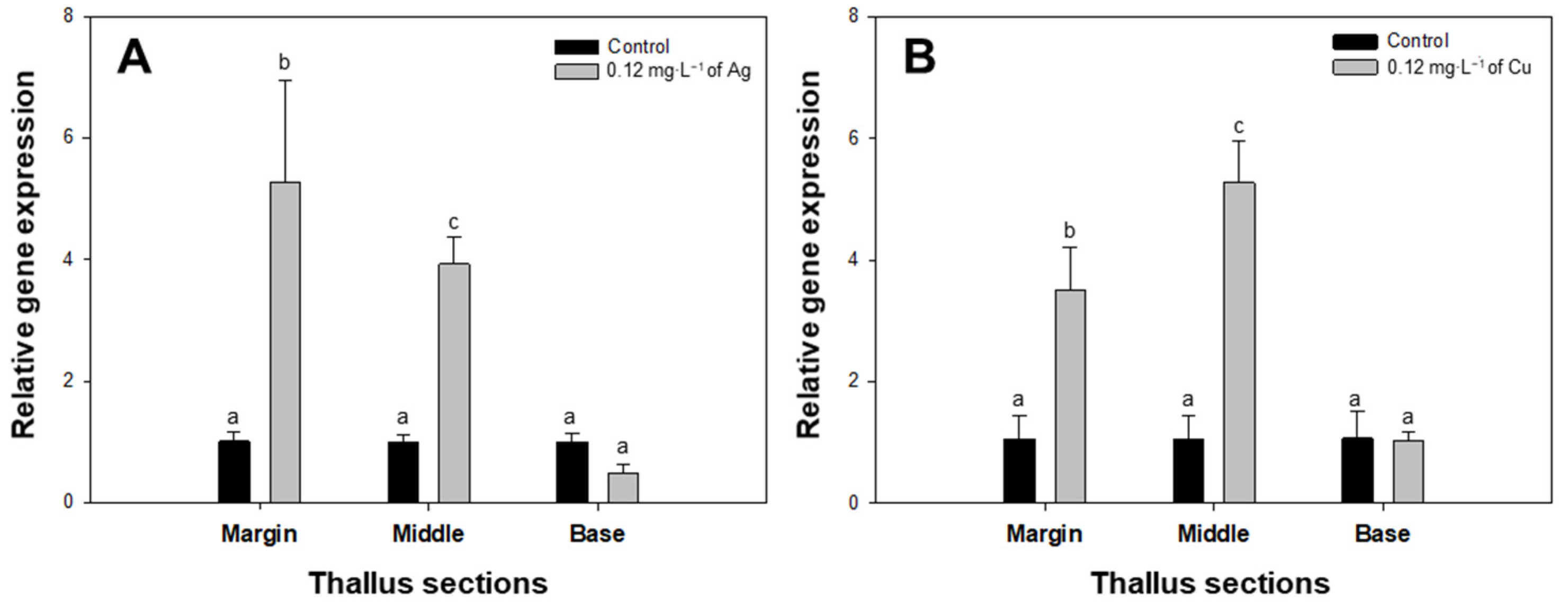 Toxics 11 00548 g002