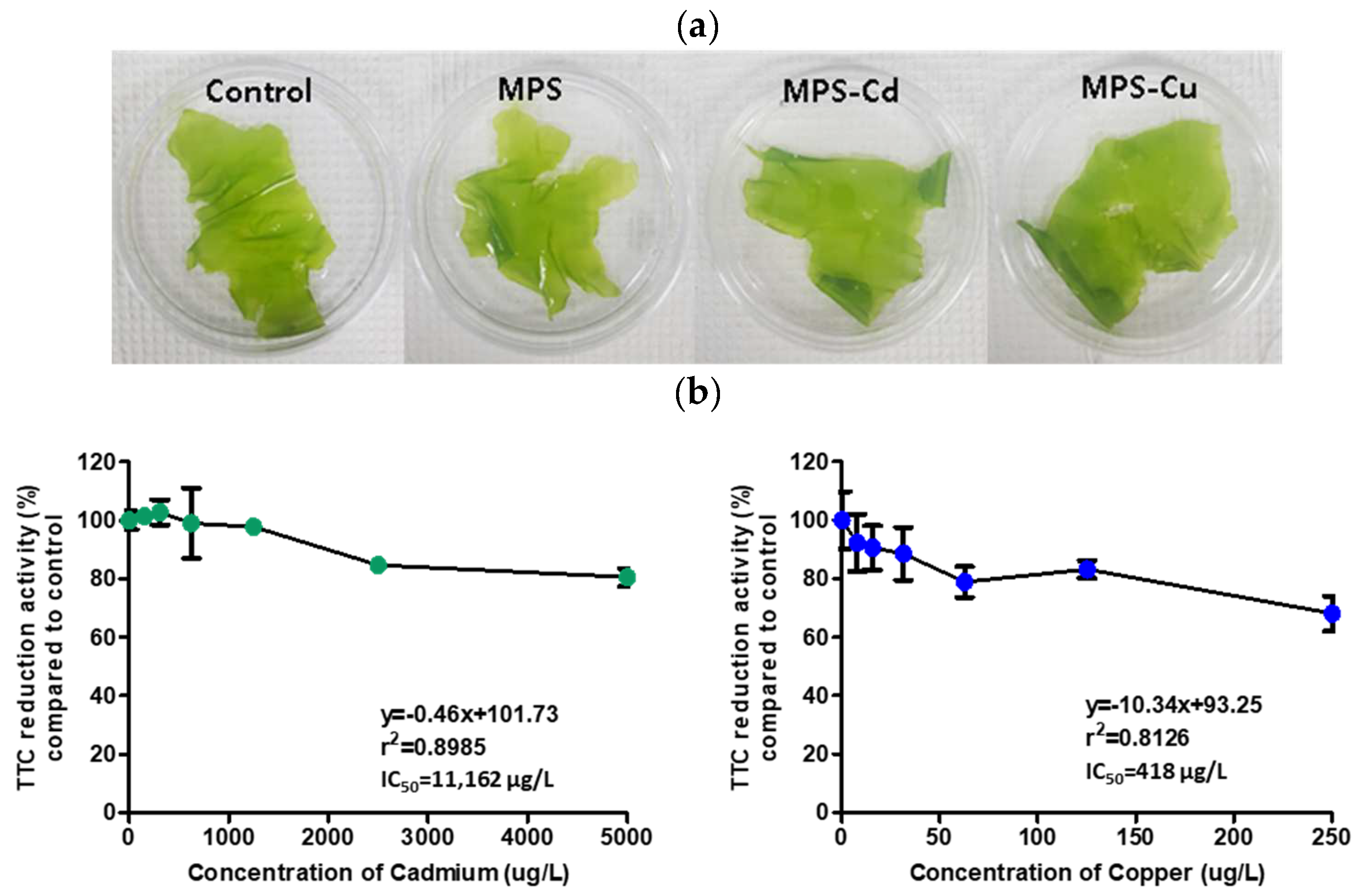 Toxics 11 00549 g001