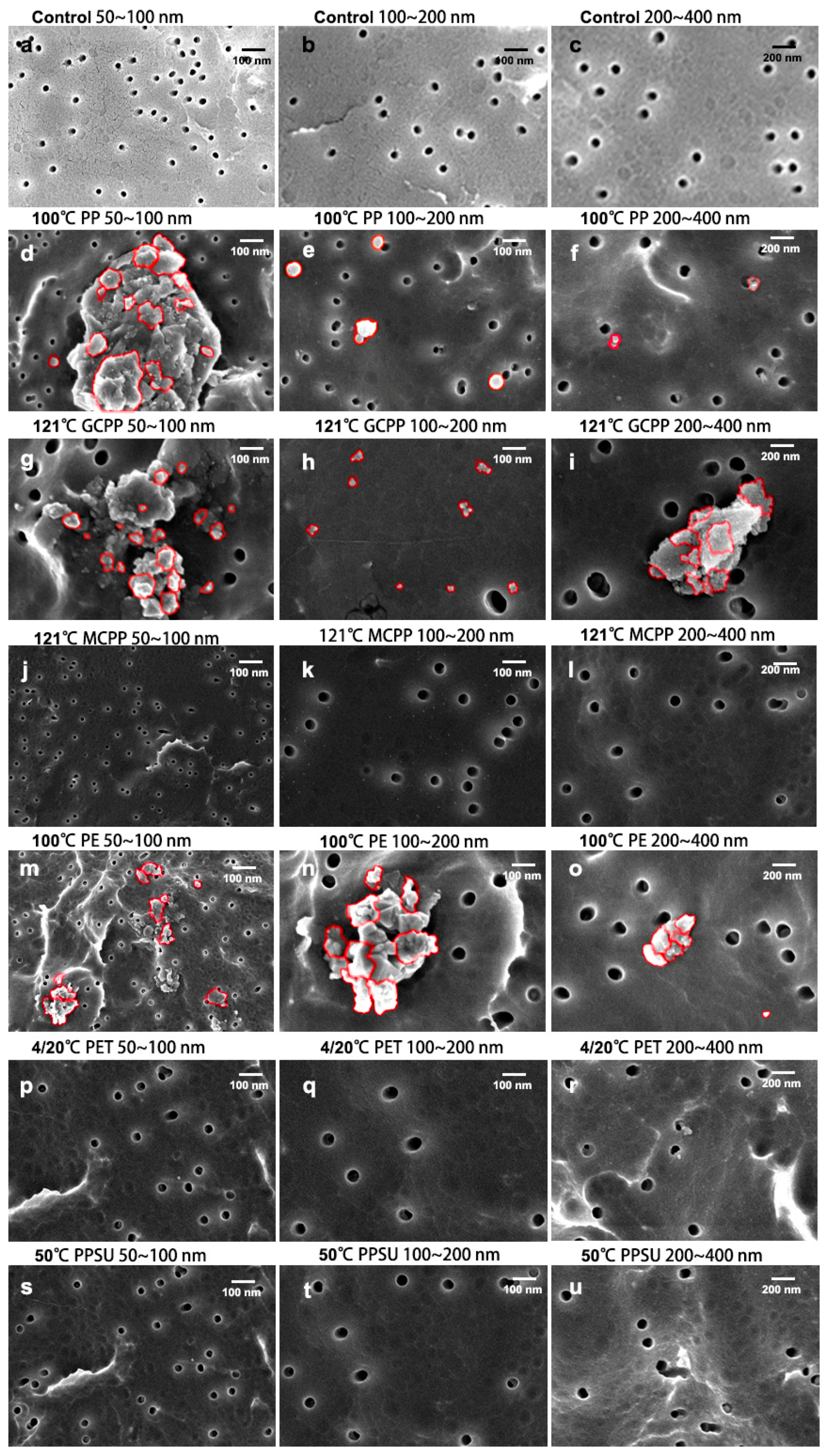 Toxics 11 00550 g003