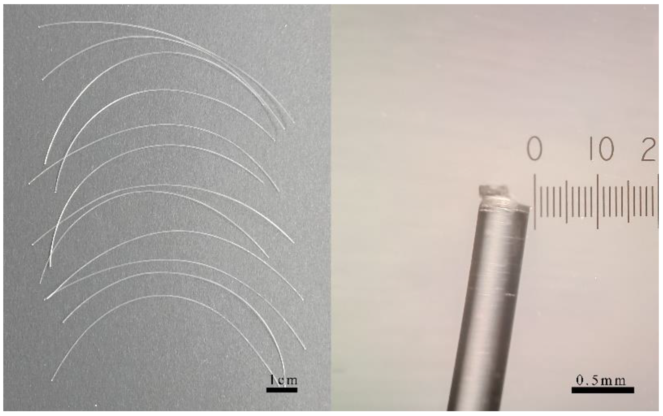 Toxics 11 00554 g002 Toxics 11 00554 g002