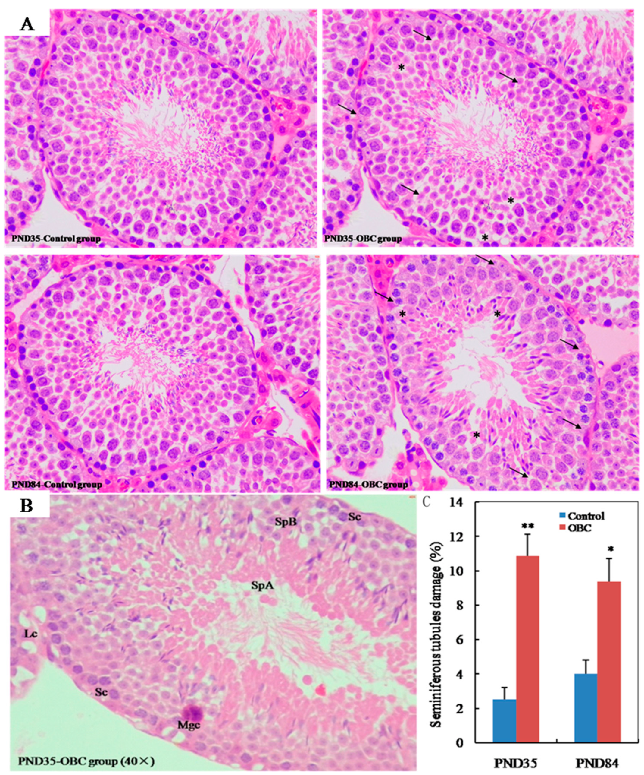 Toxics 11 00556 g001