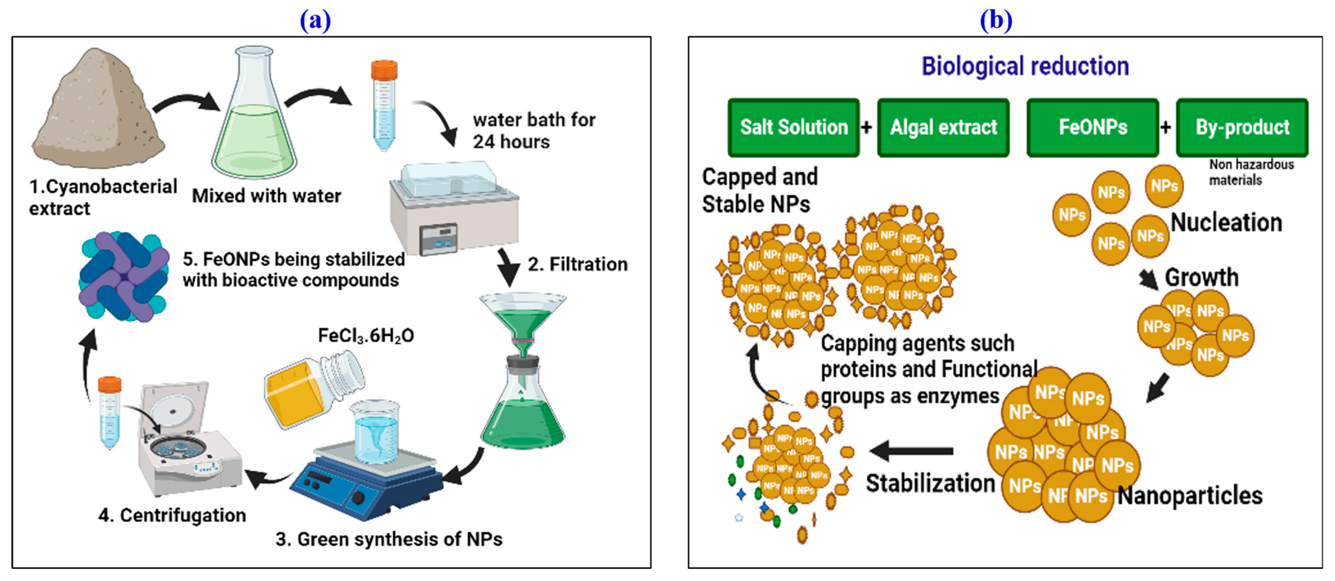 Toxics 11 00561 g001